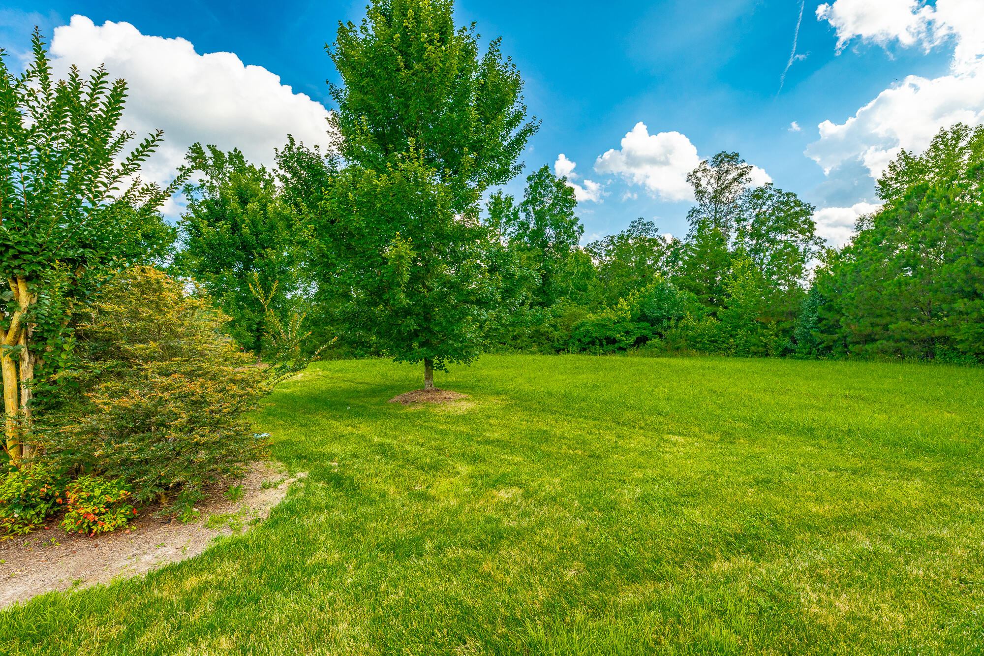 4581 Sweet Berry Lane