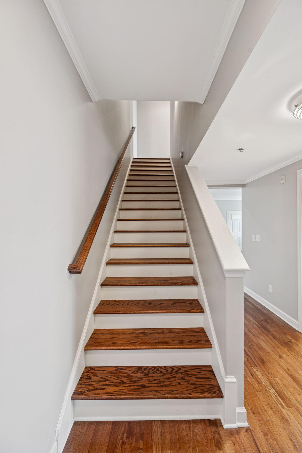 229 Delmont St #225