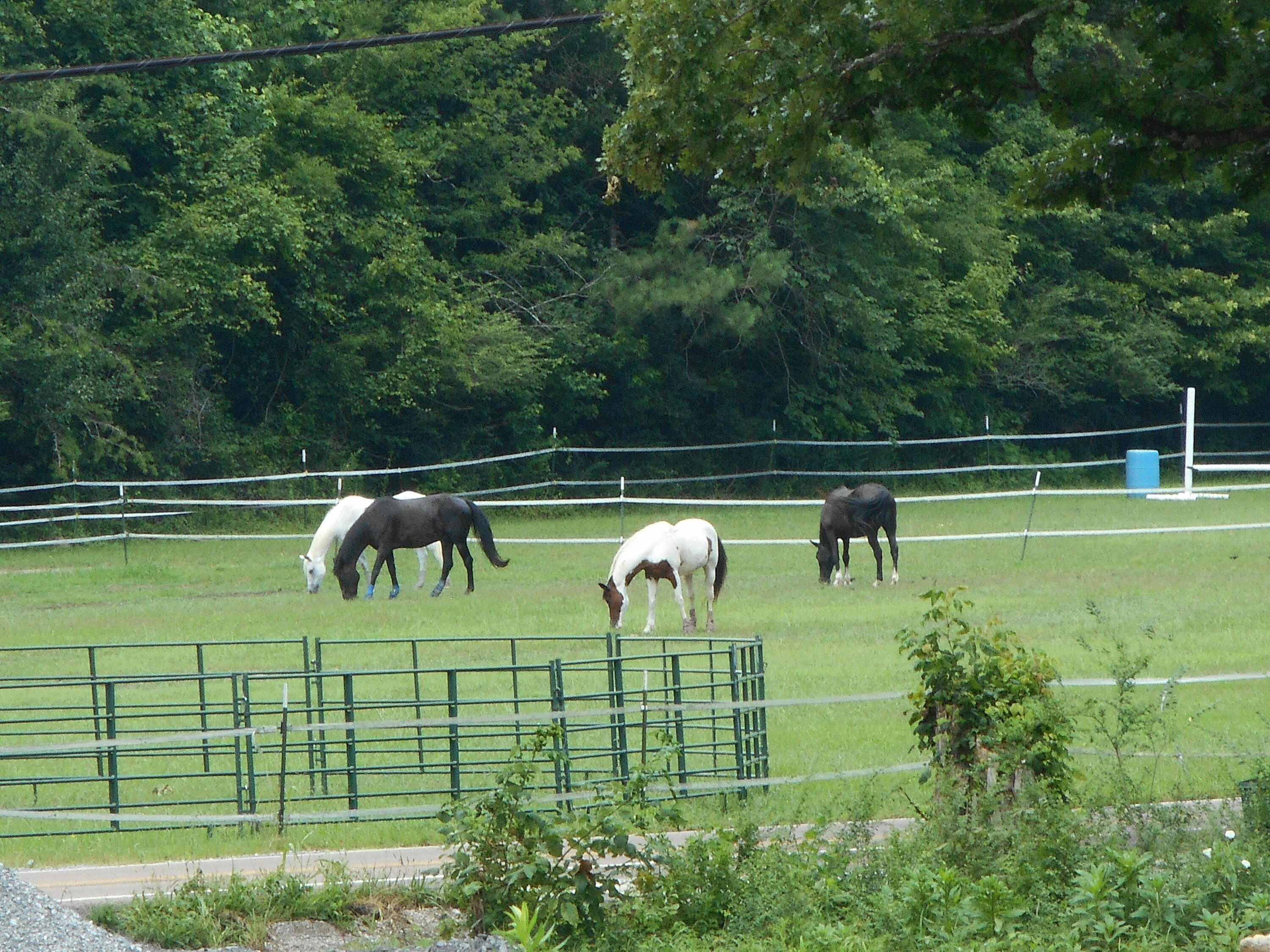 1515 Pheasant Run Place