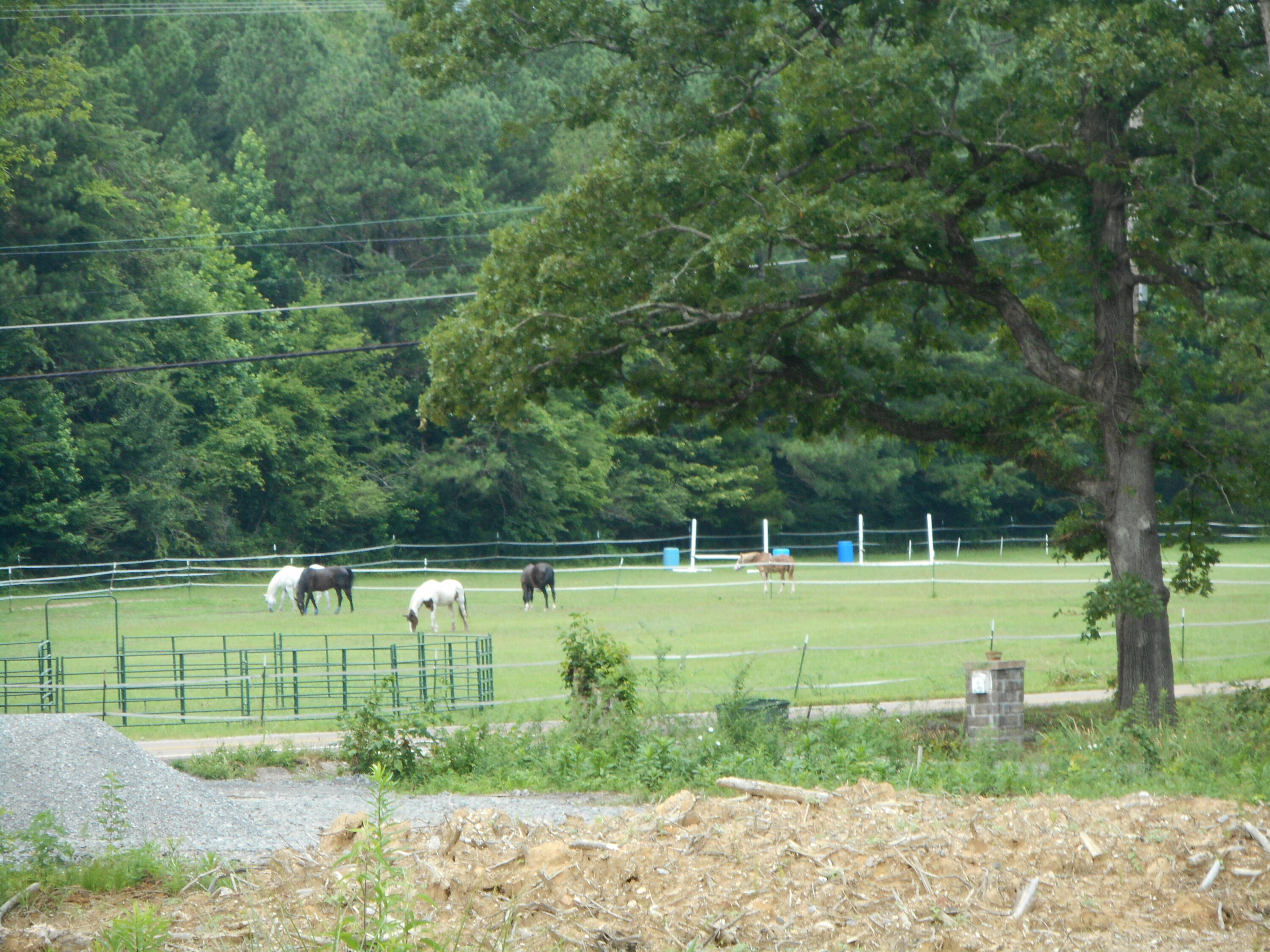 1515 Pheasant Run Place