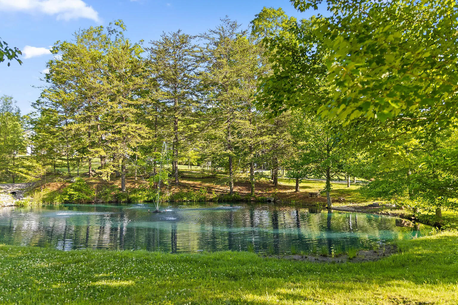 4405 Hawk Ridge Court