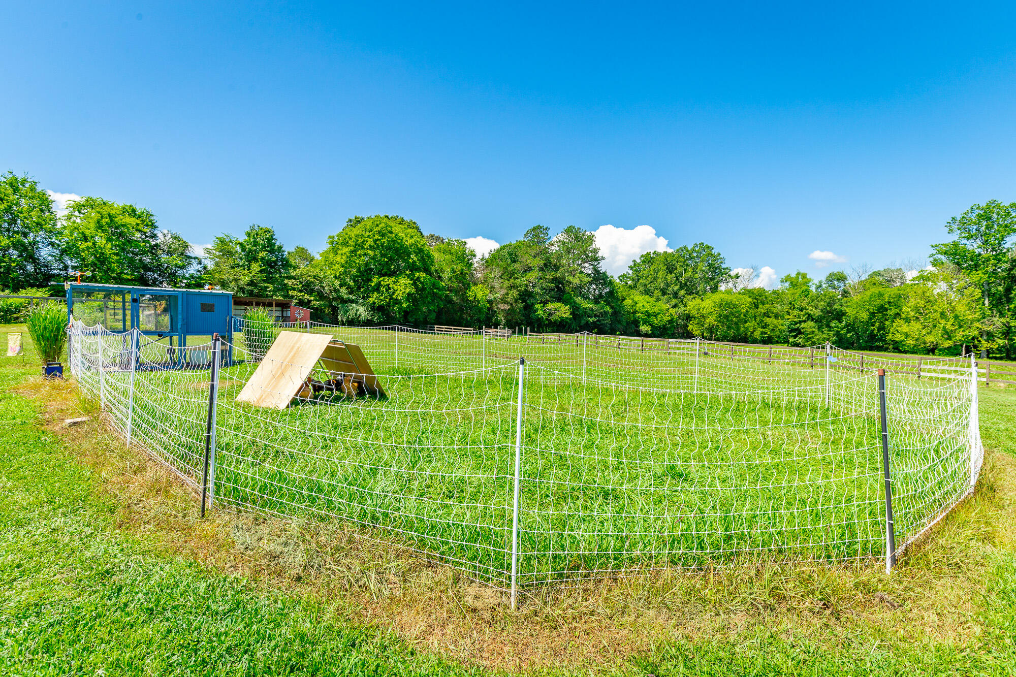 575 W Nickajack Road