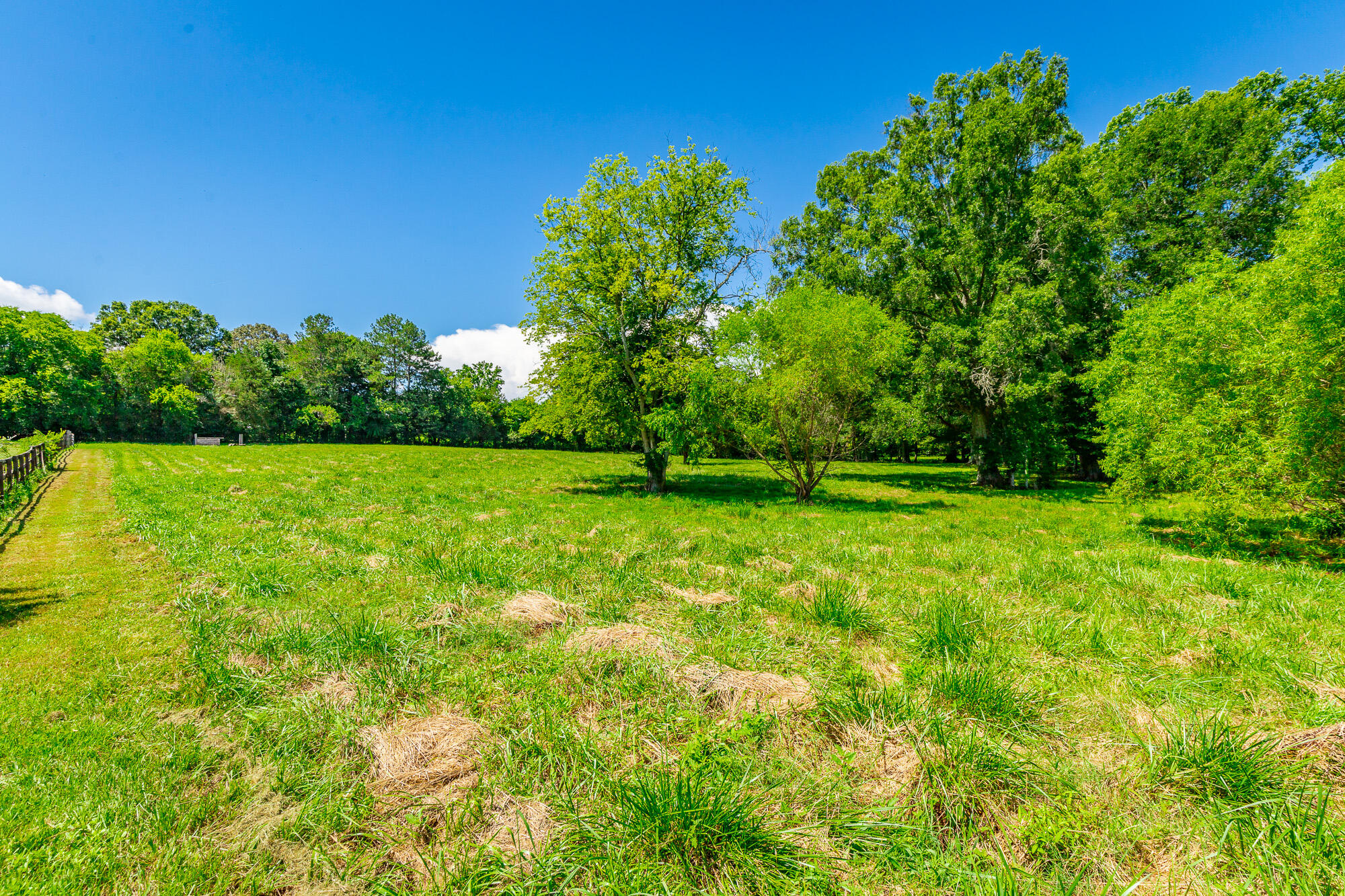 575 W Nickajack Road