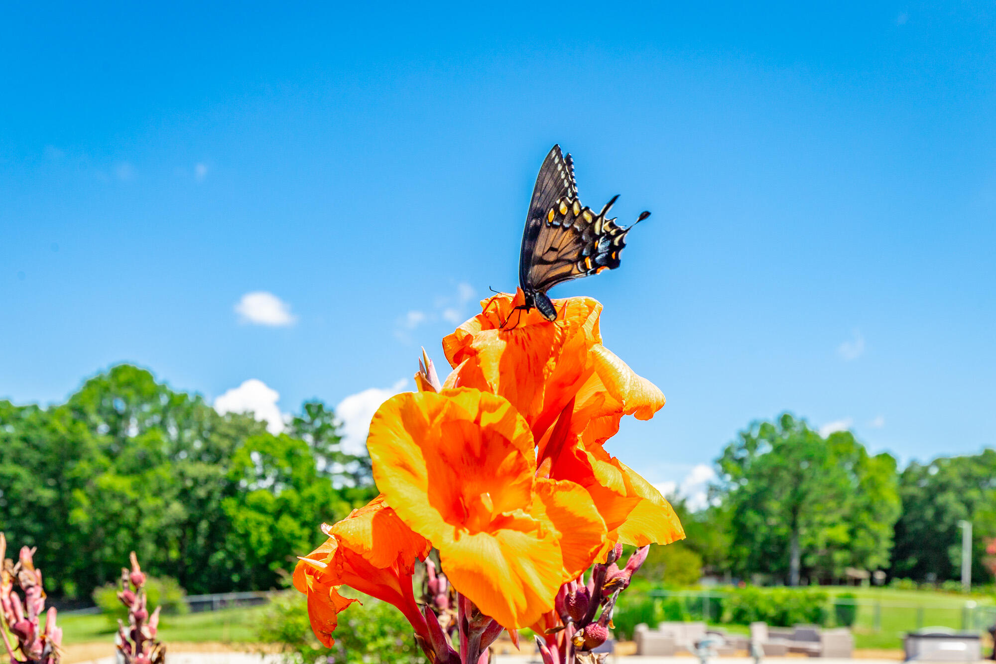 575 W Nickajack Road