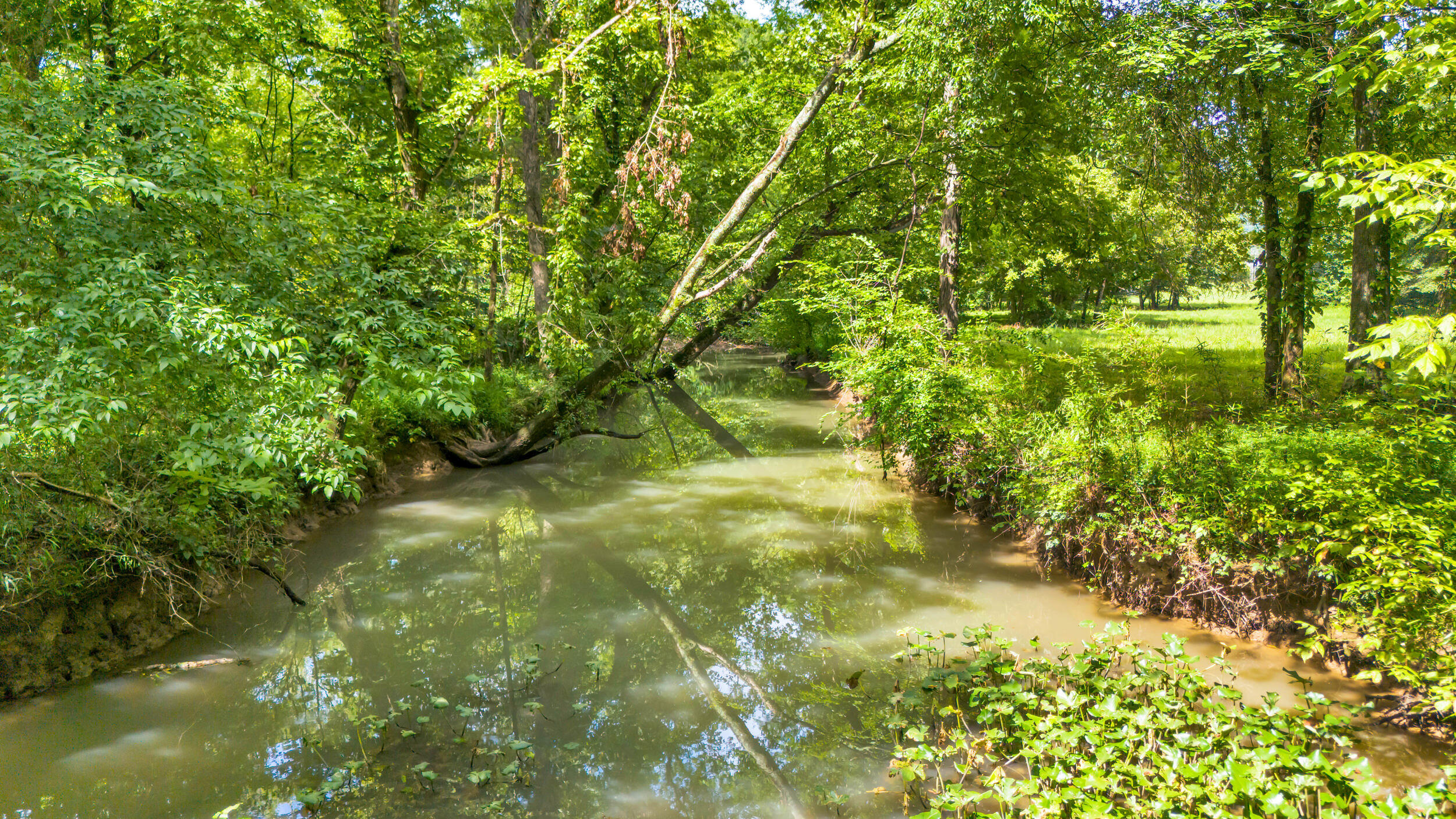 575 W Nickajack Road