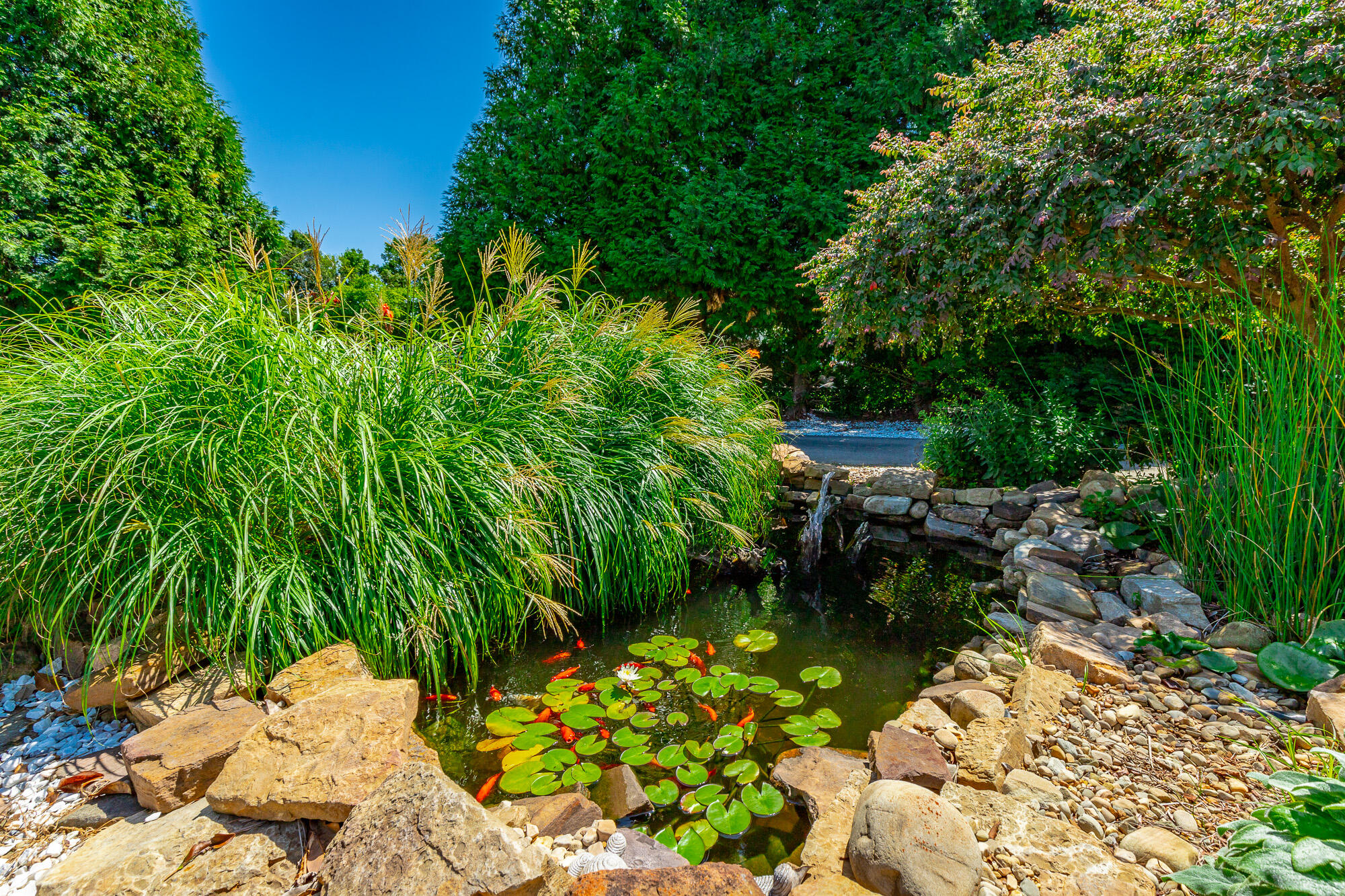 575 W Nickajack Road