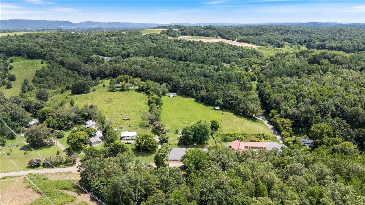 6126 Muscadine Lane