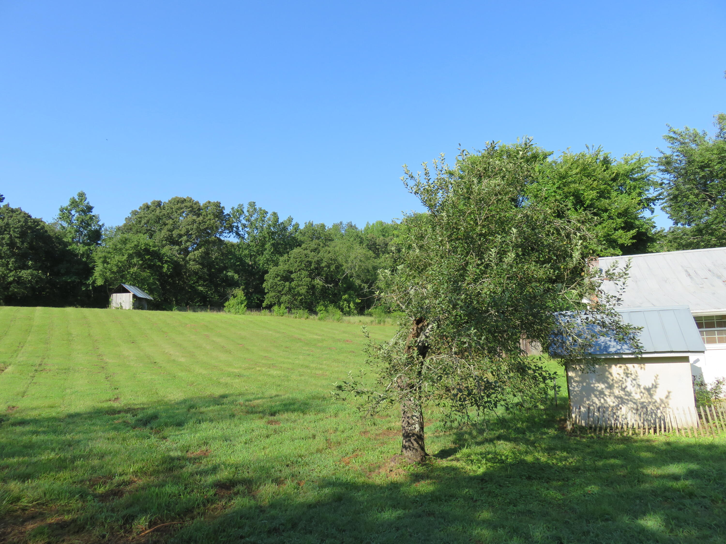 6126 Muscadine Lane