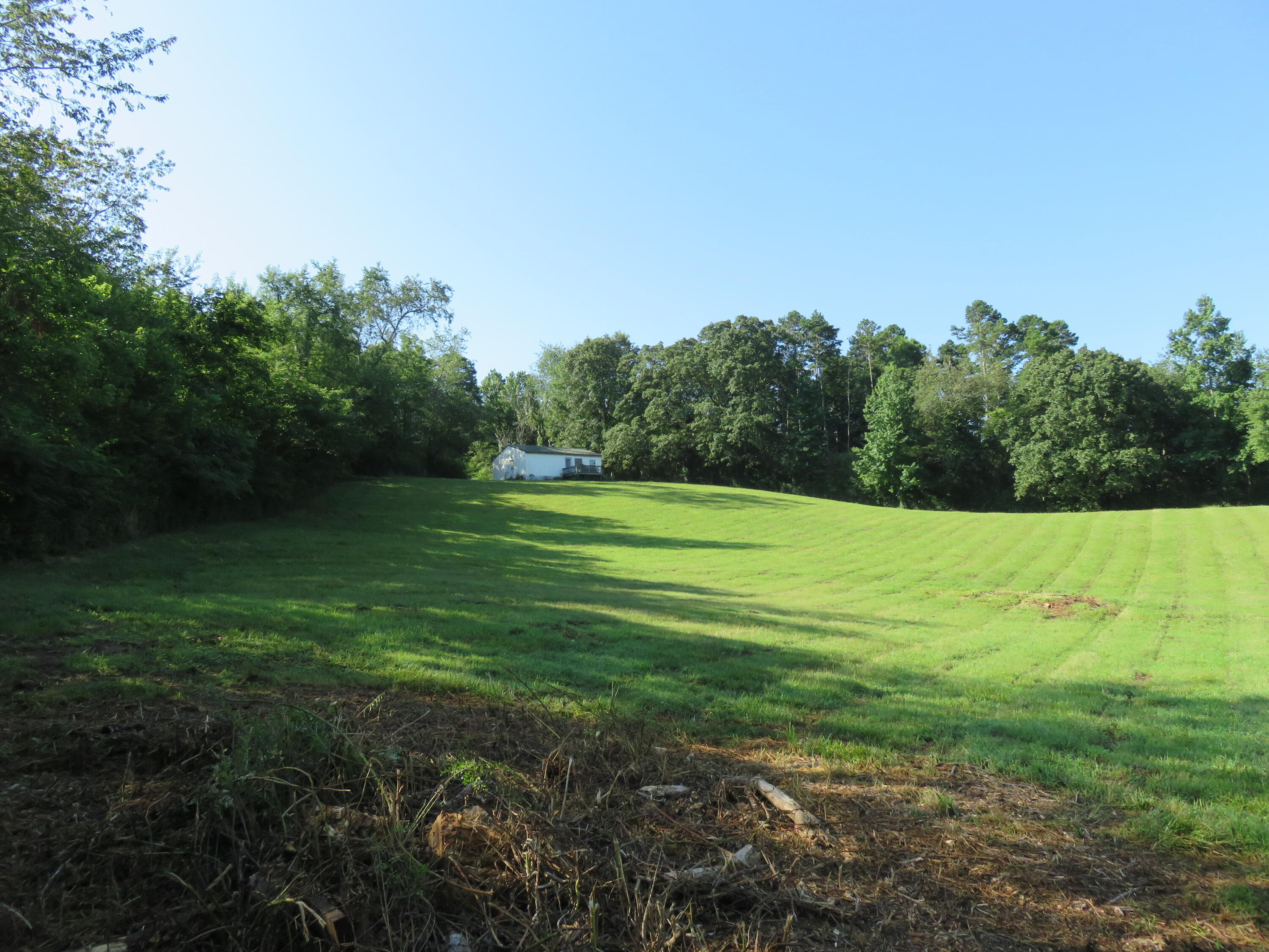 6126 Muscadine Lane
