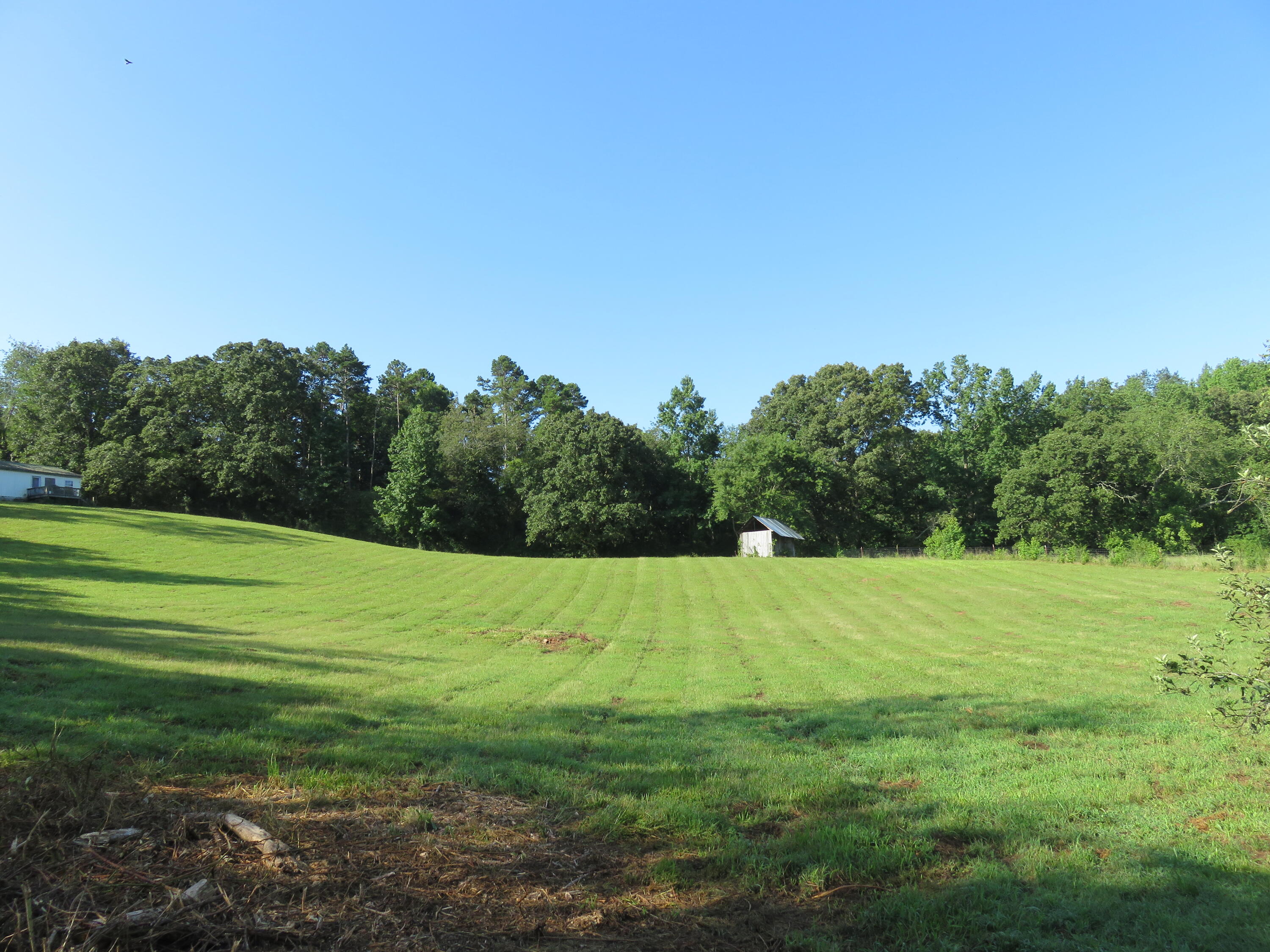 6126 Muscadine Lane