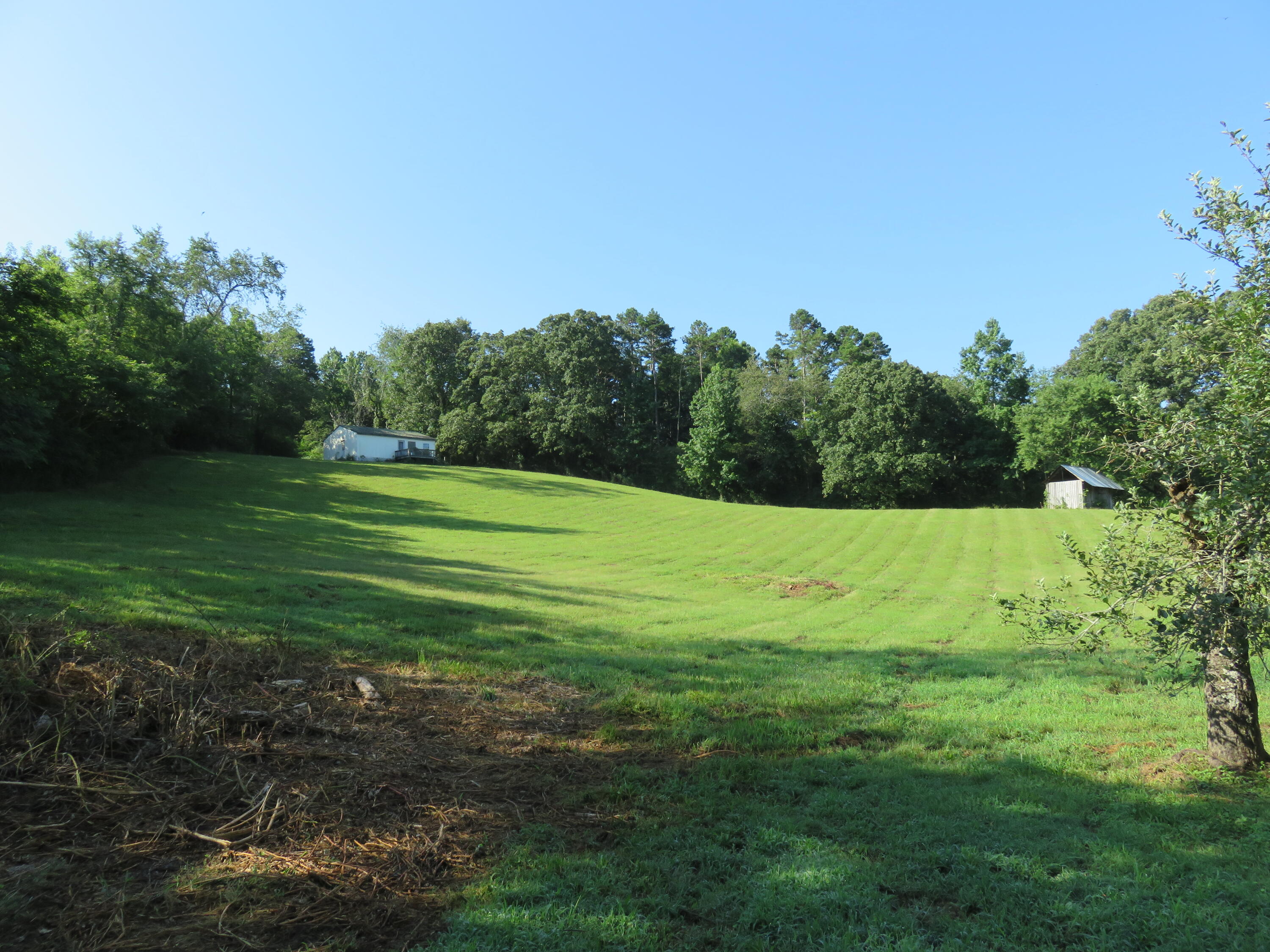 6126 Muscadine Lane
