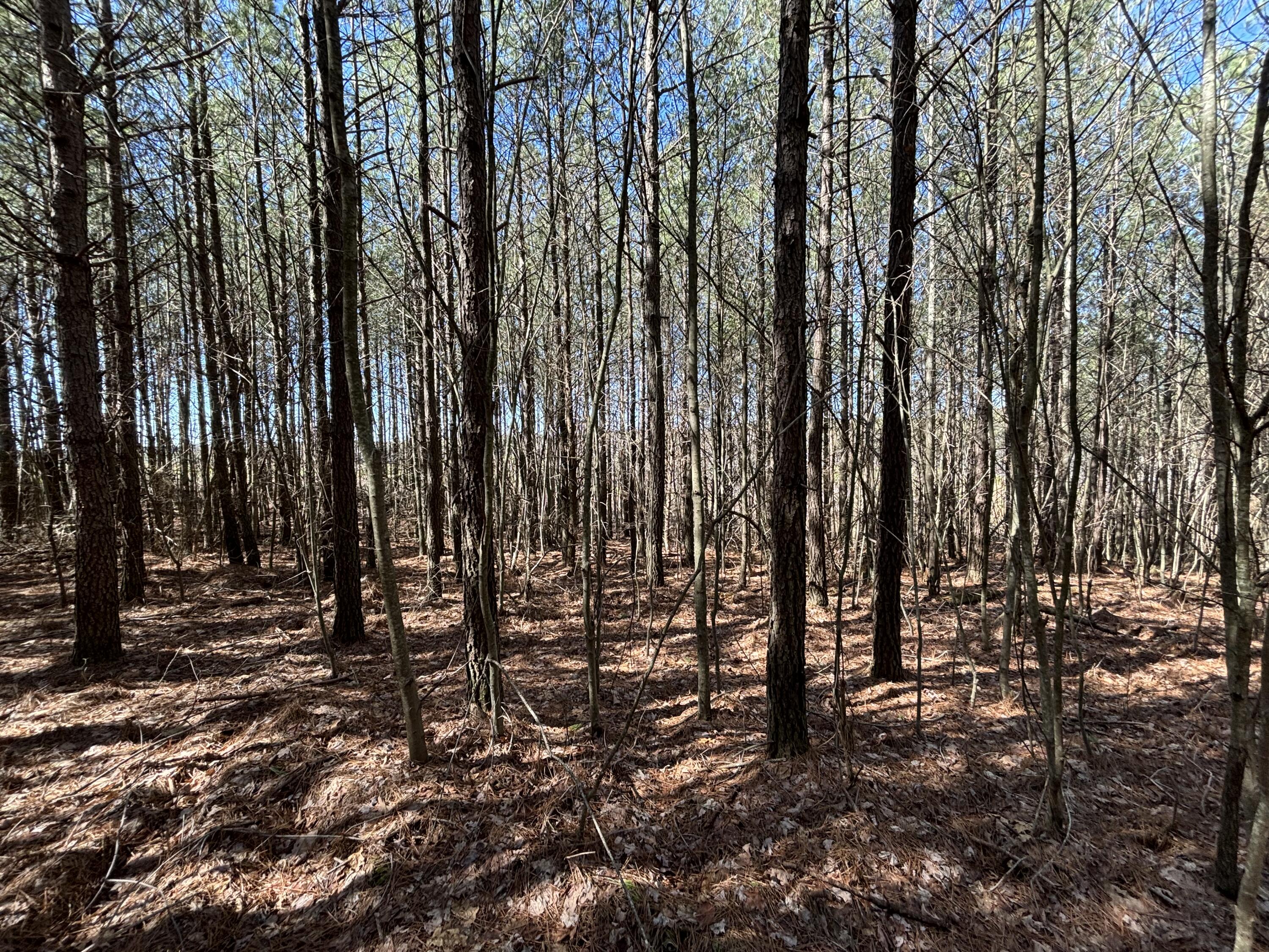 4 Fredonia Road, Dunlap