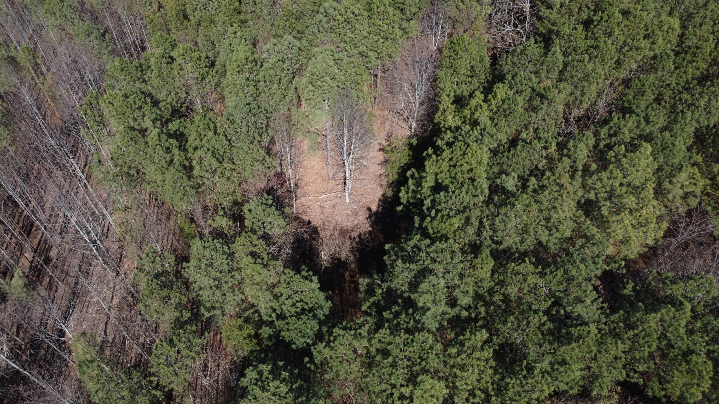 4 Fredonia Road, Dunlap