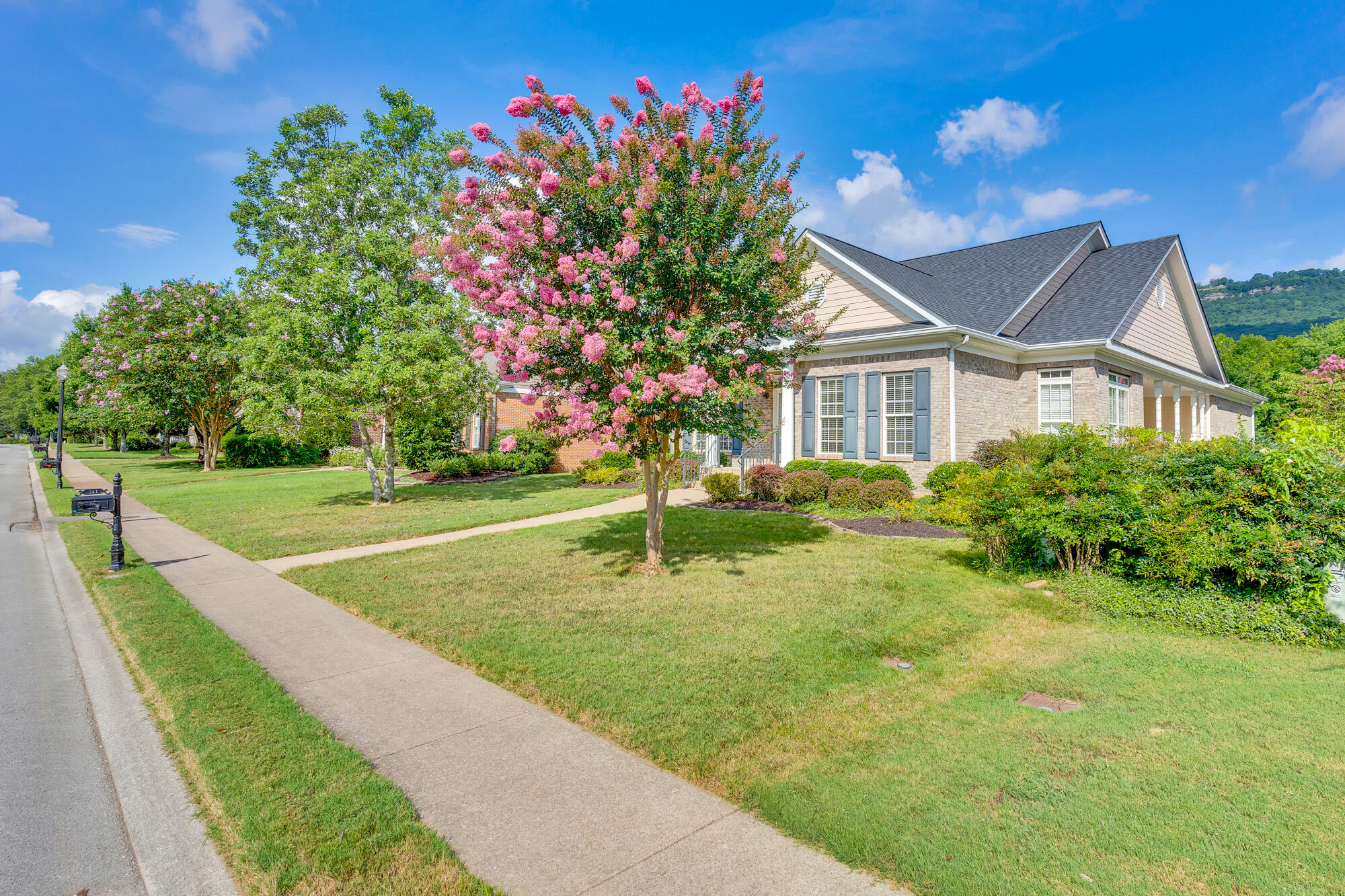 241 Horse Creek Drive