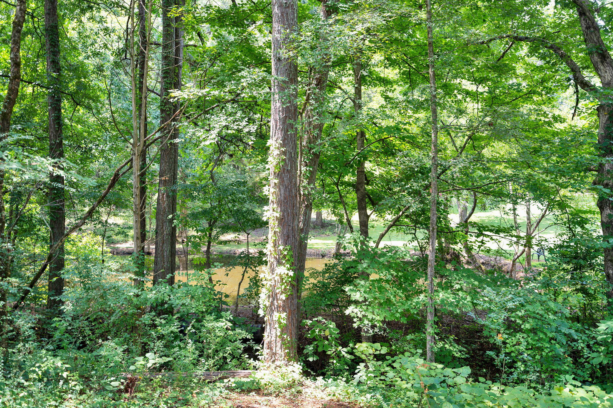 201 Triplett Circle NW