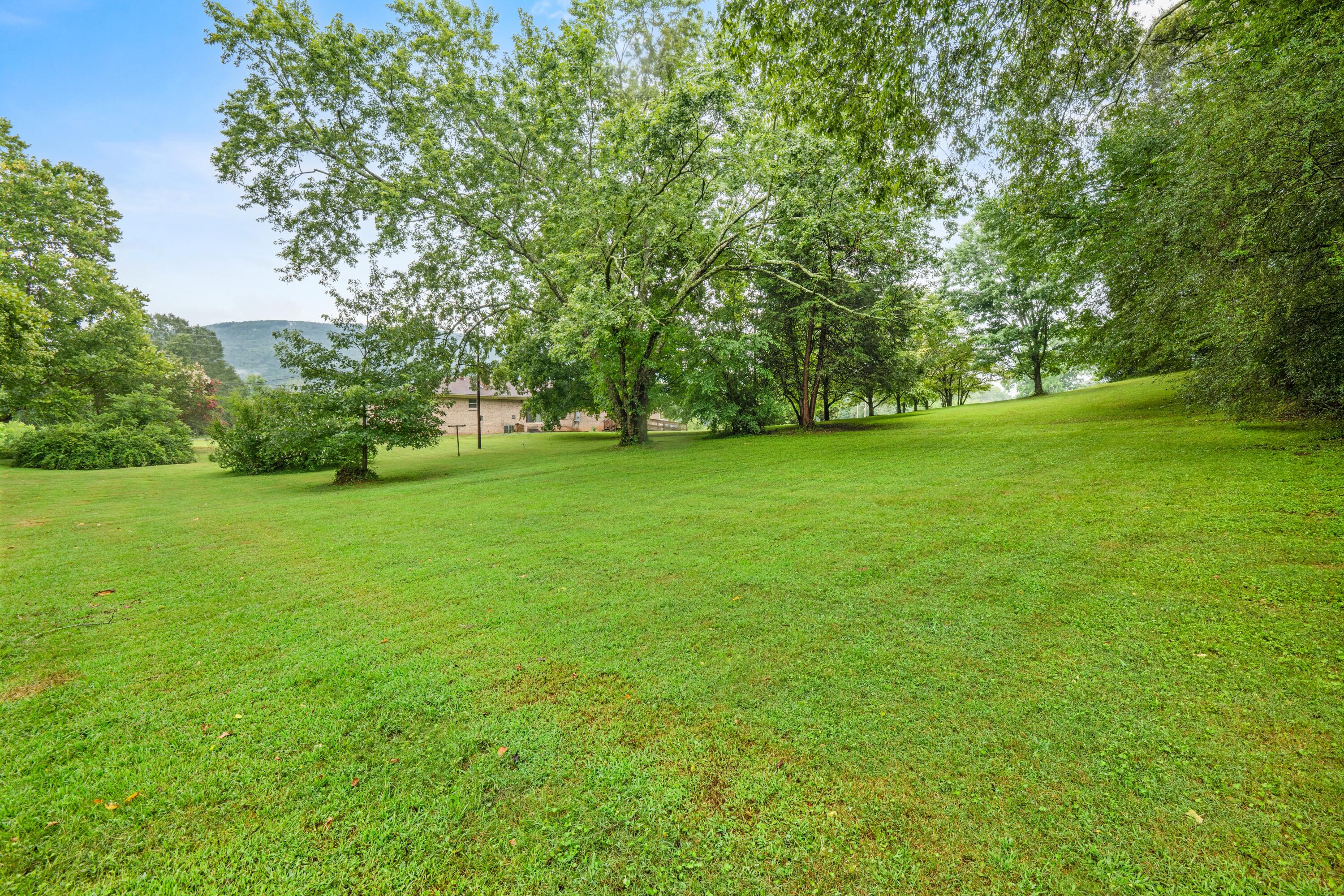 557 Alvin York Highway