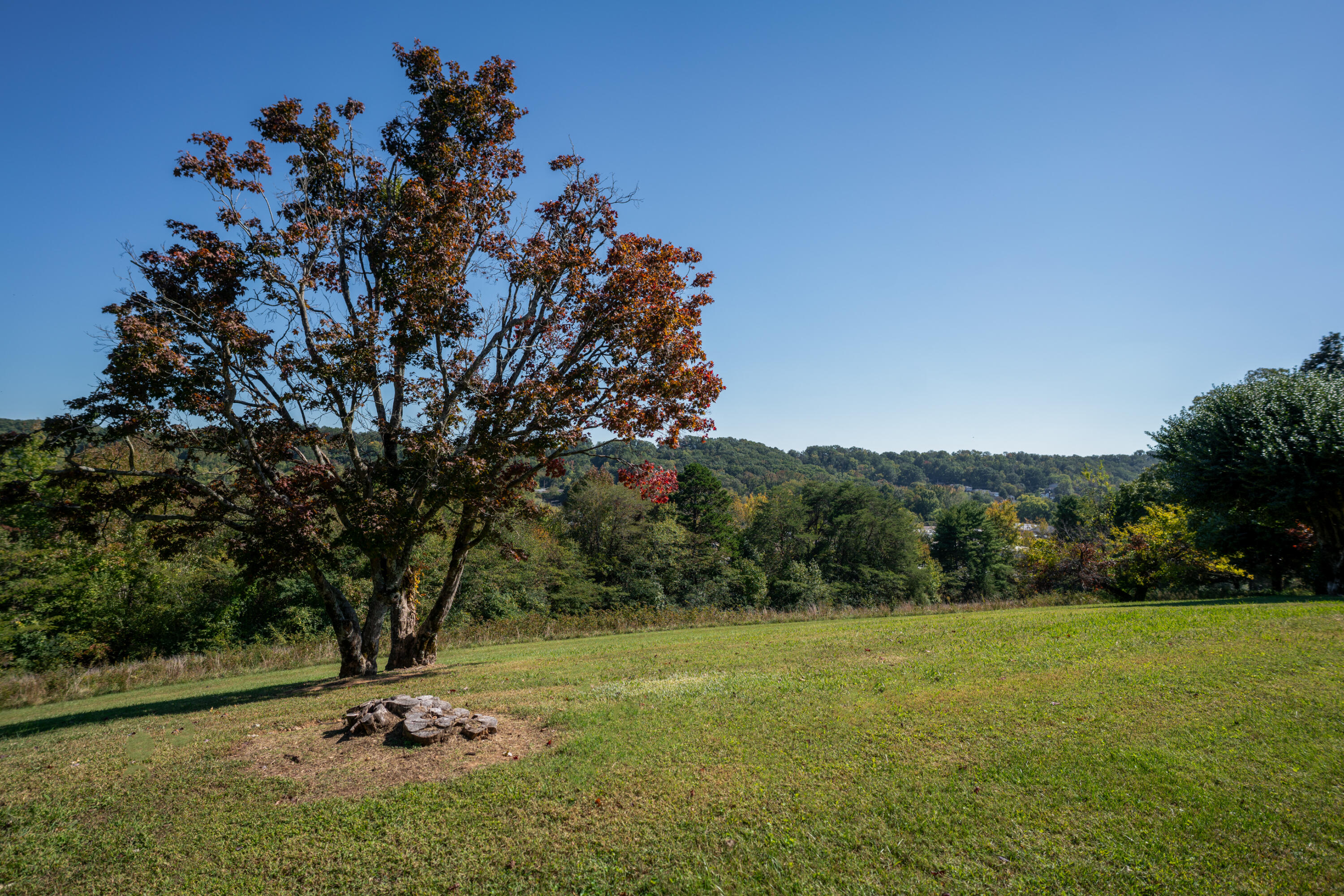 209 Browntown Road