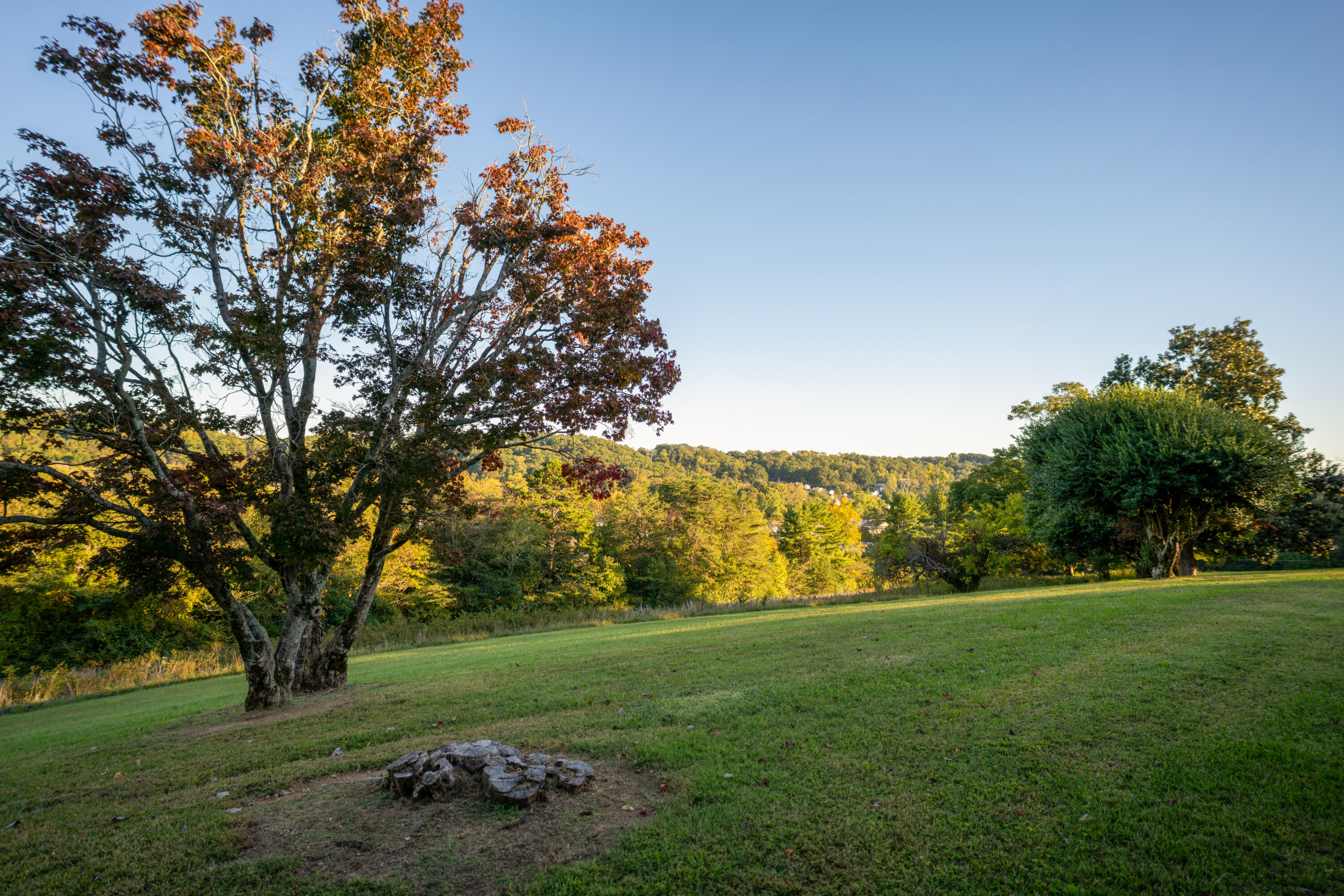 209 Browntown Road