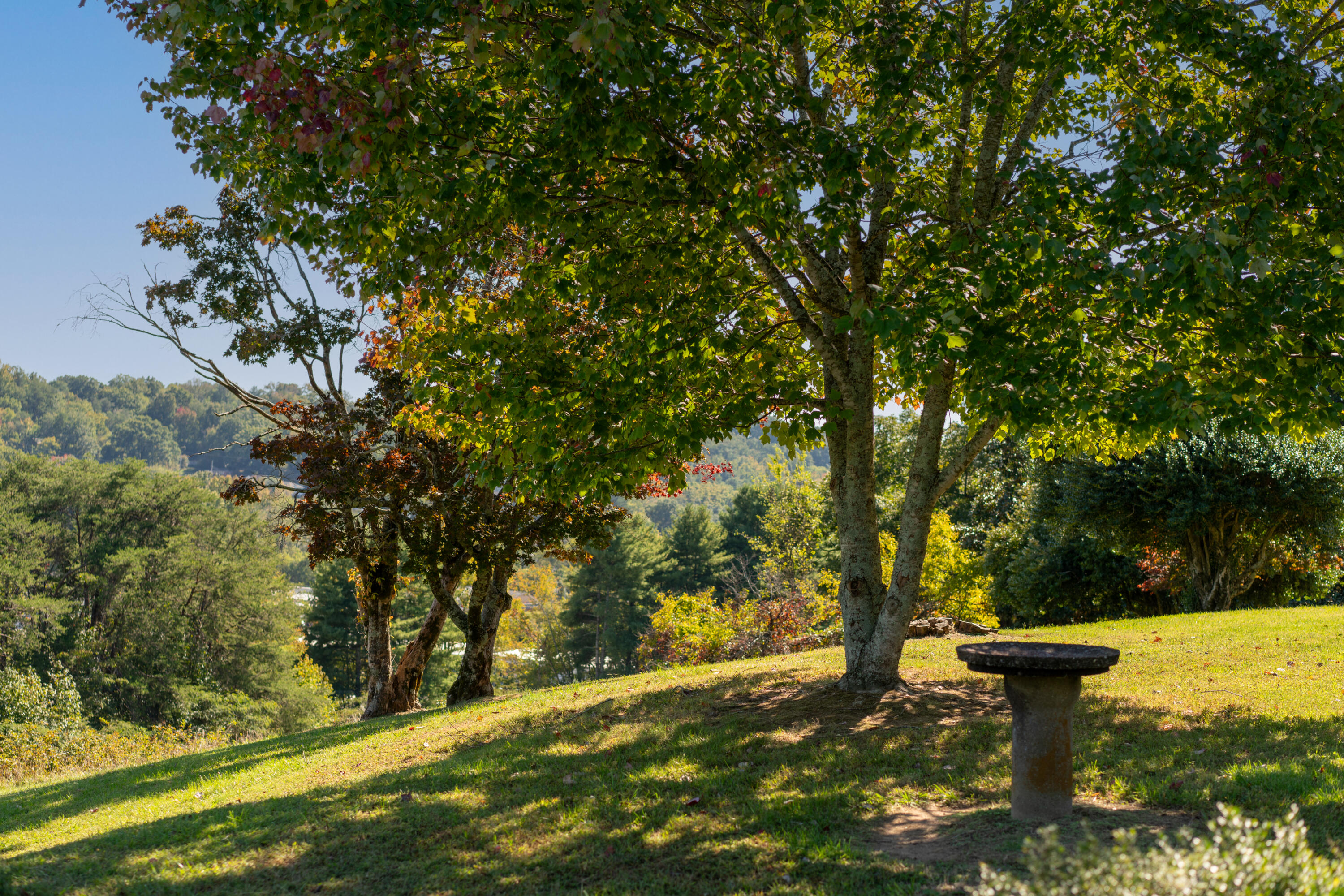 209 Browntown Road