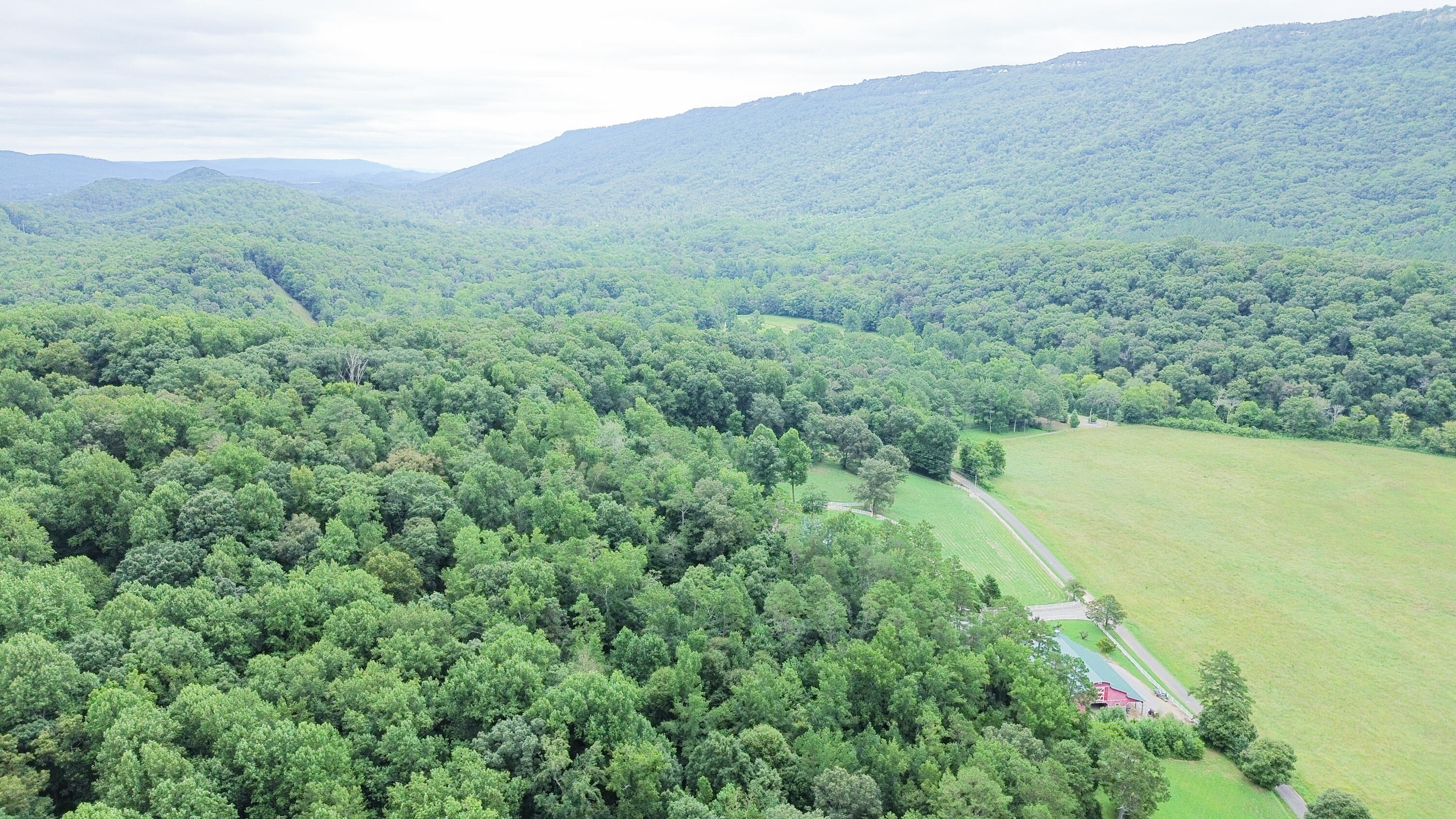 794 Cureton Mill Road