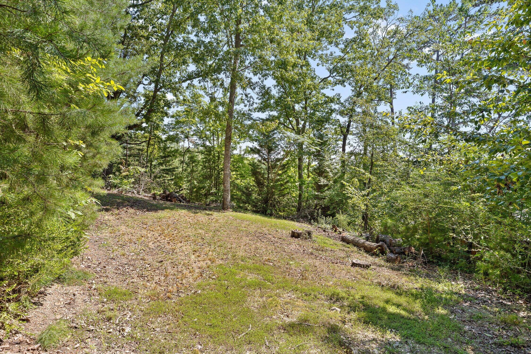 9629 Slippery Elm Lane Lane