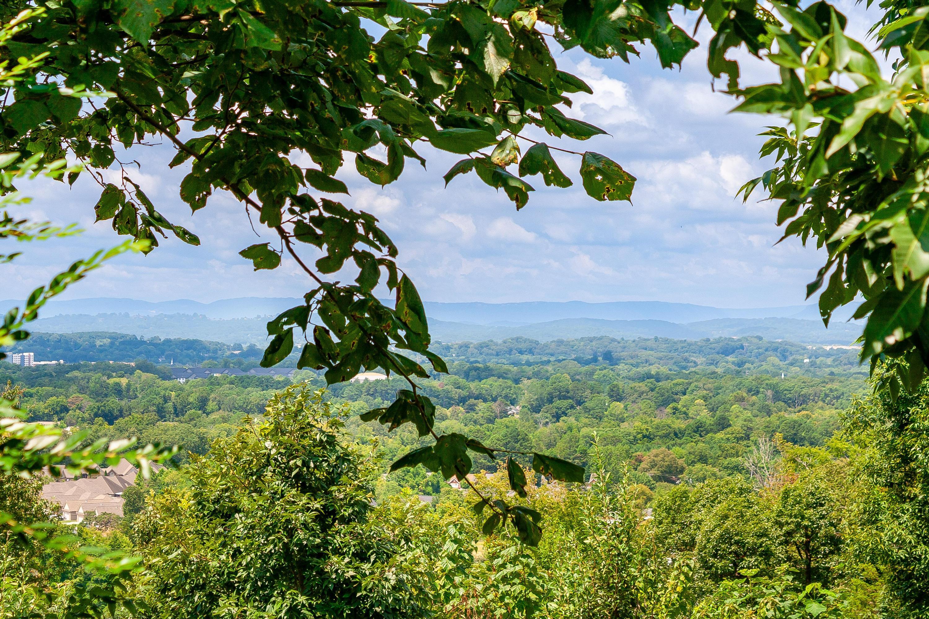 8220 Tyne Ridge Road