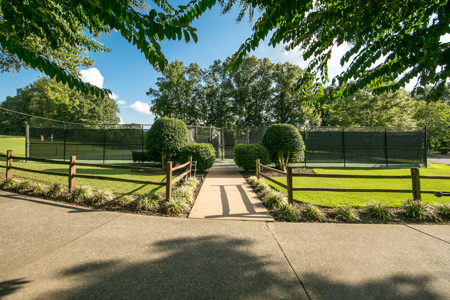 8011 Dancing Fern Trail