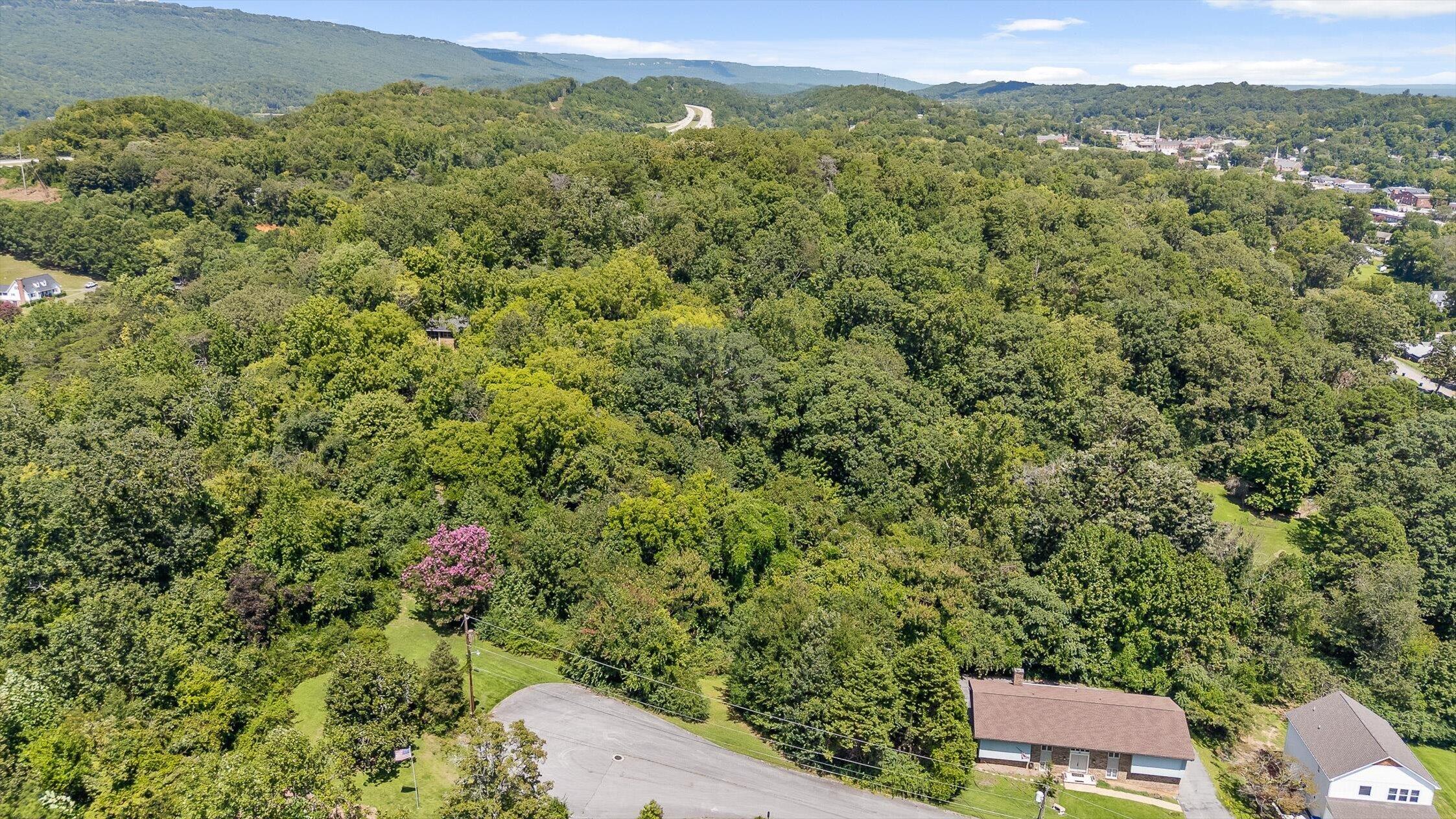 325 Brownview Drive