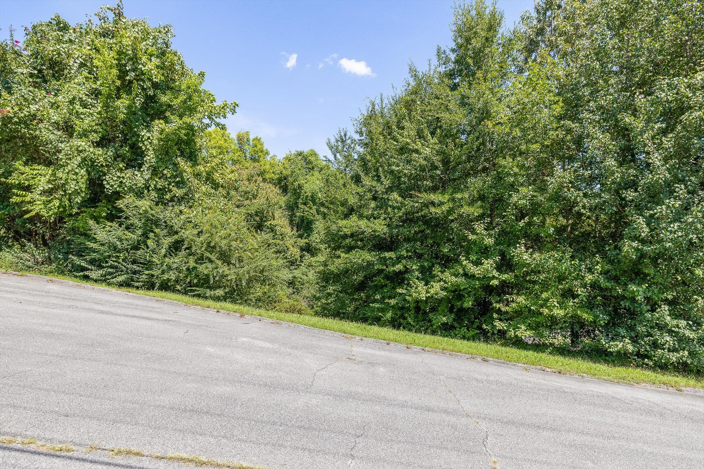 325 Brownview Drive