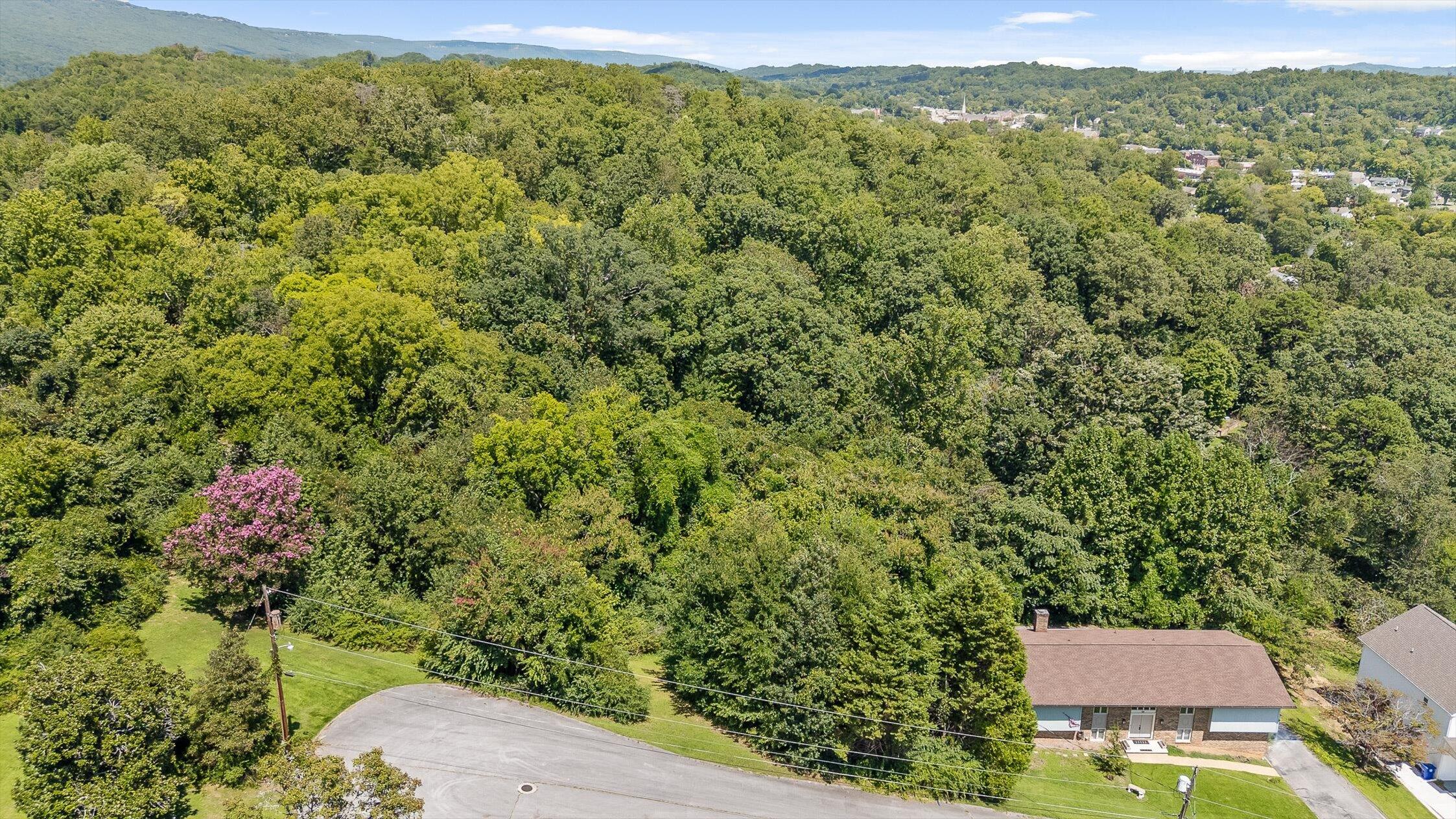 325 Brownview Drive