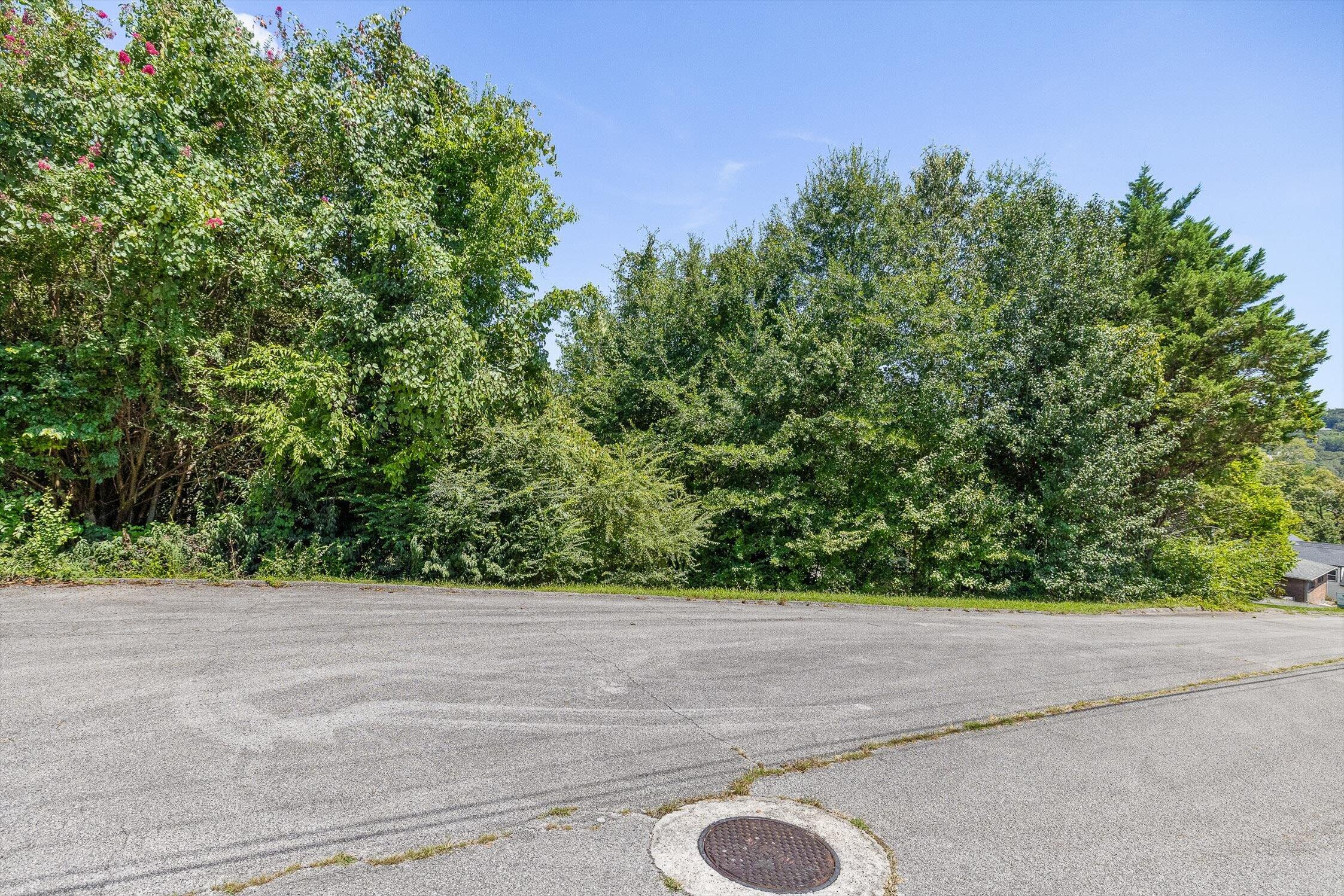 325 Brownview Drive