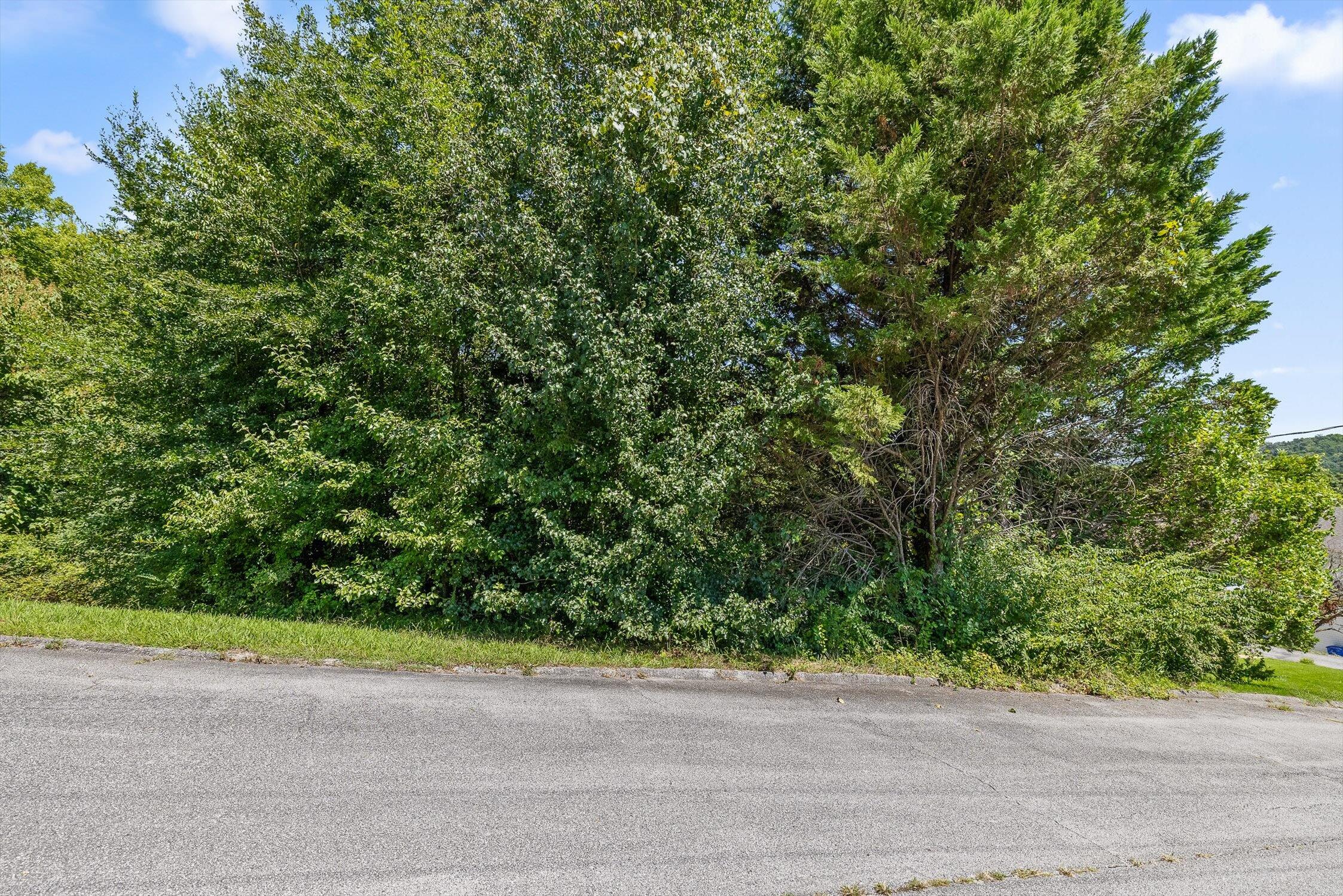 325 Brownview Drive