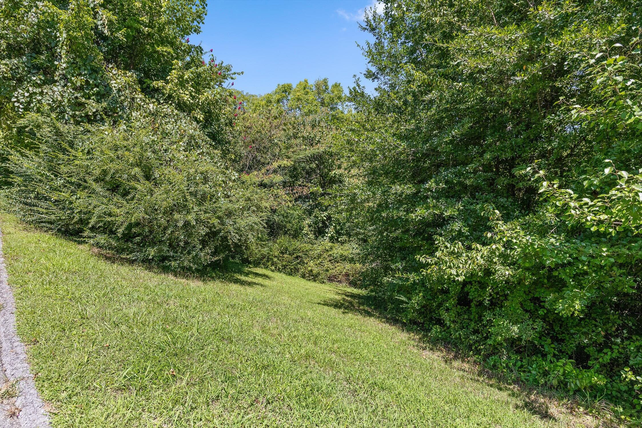 325 Brownview Drive