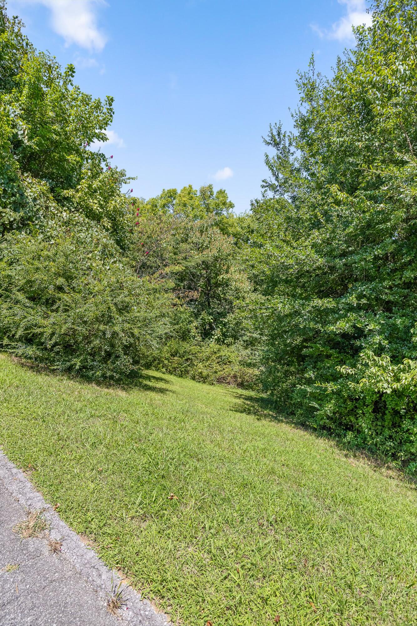 325 Brownview Drive
