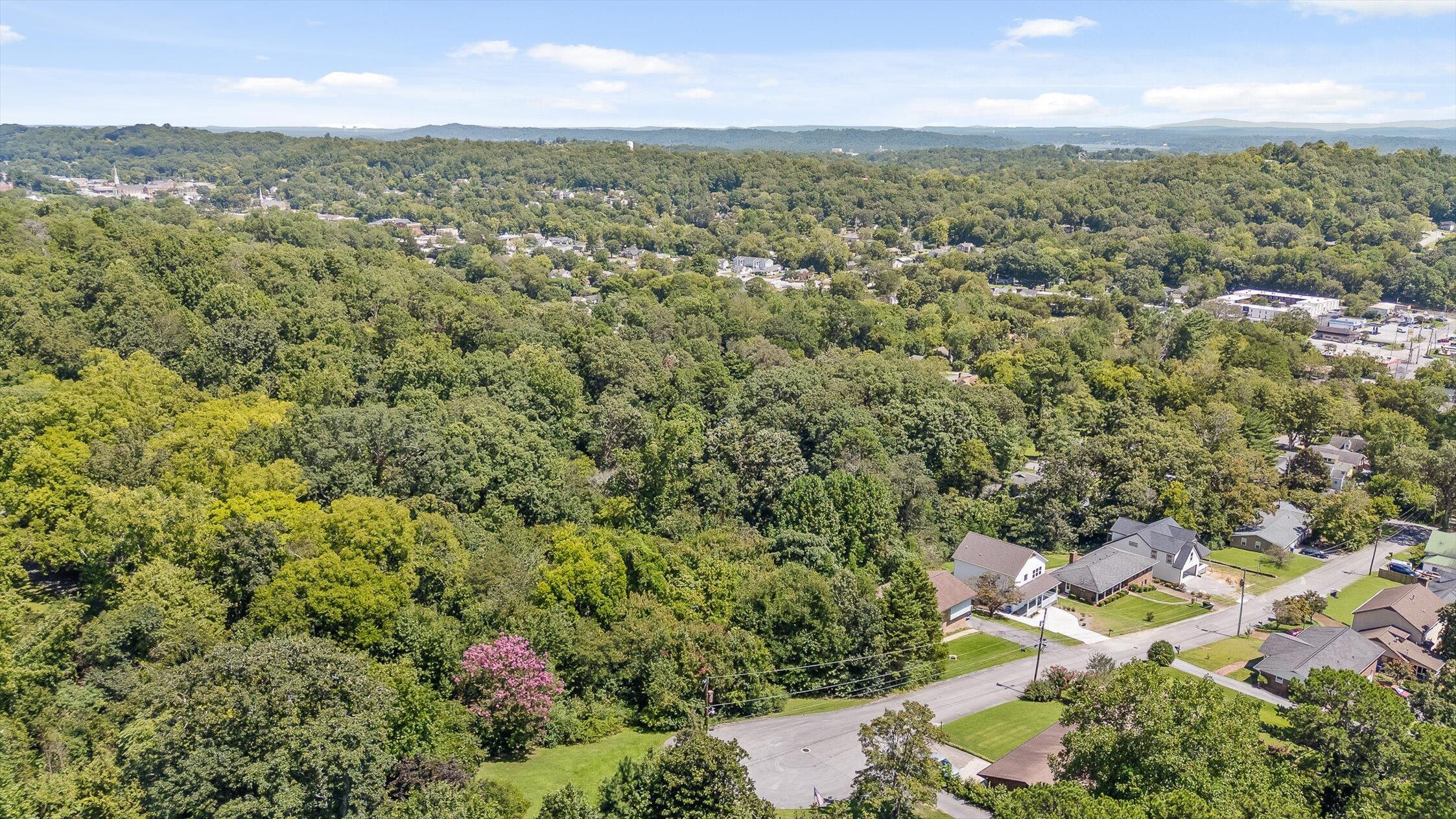 325 Brownview Drive