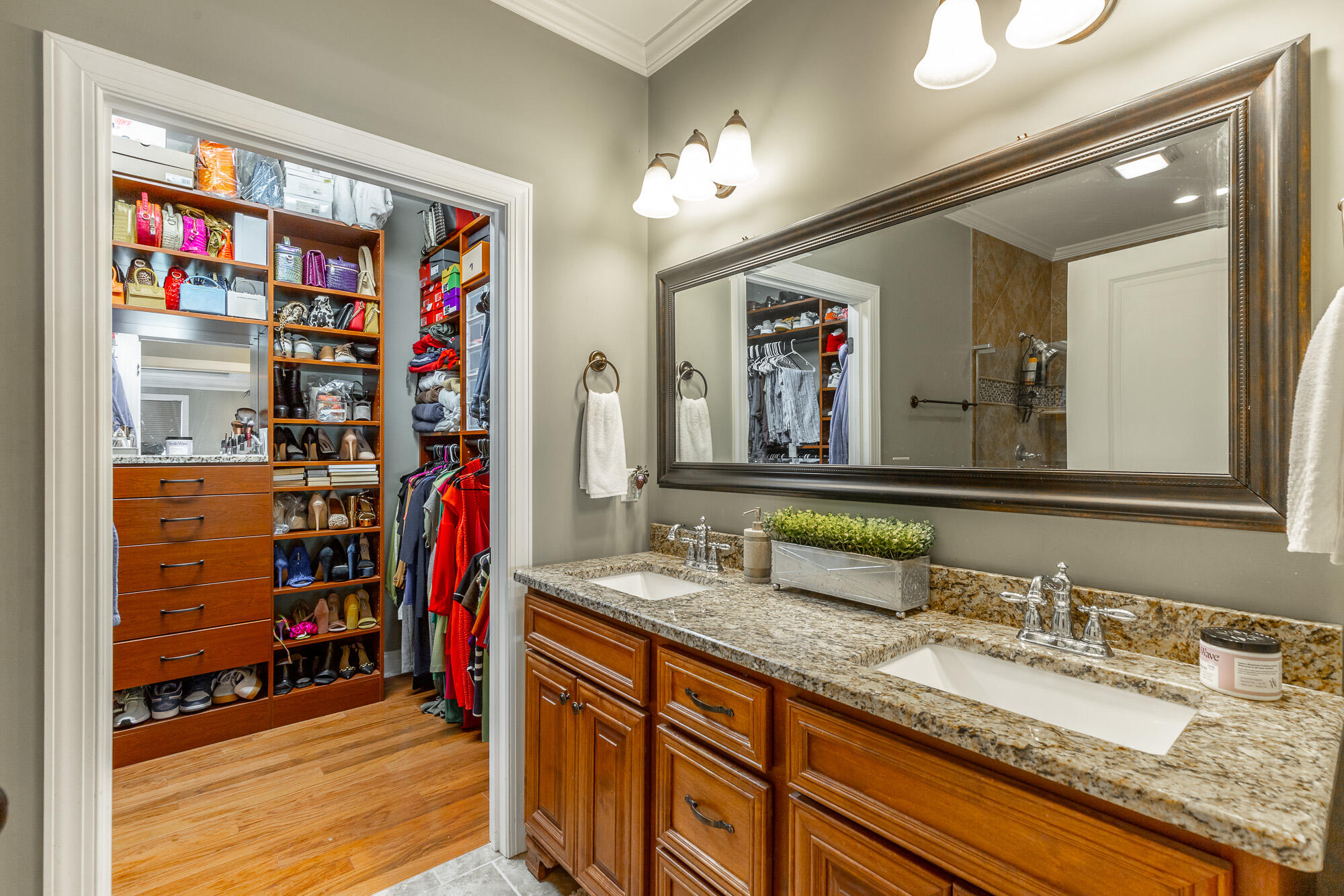 1147 Saddlebrook Drive