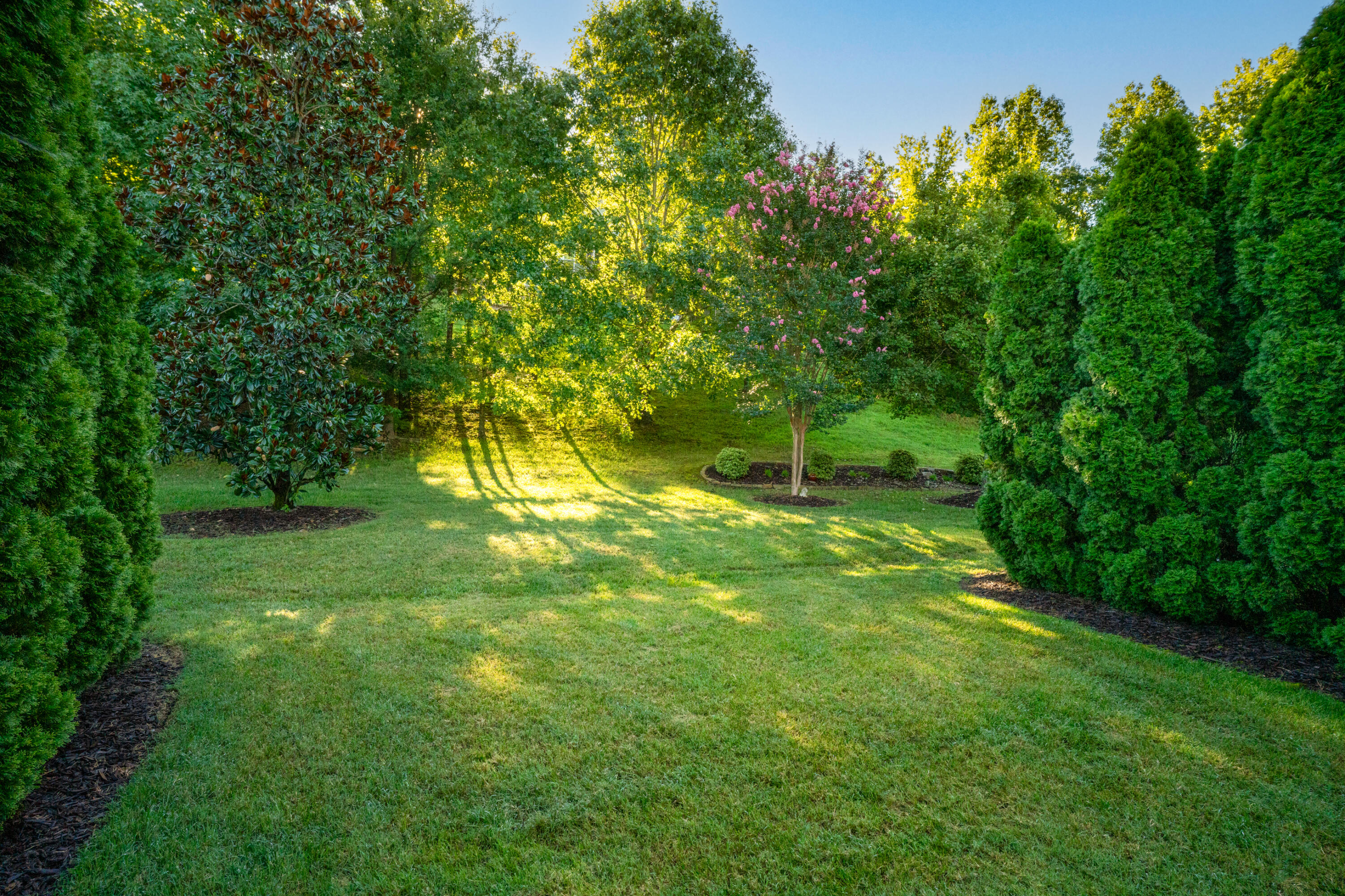 1122 Saddlebrook Drive