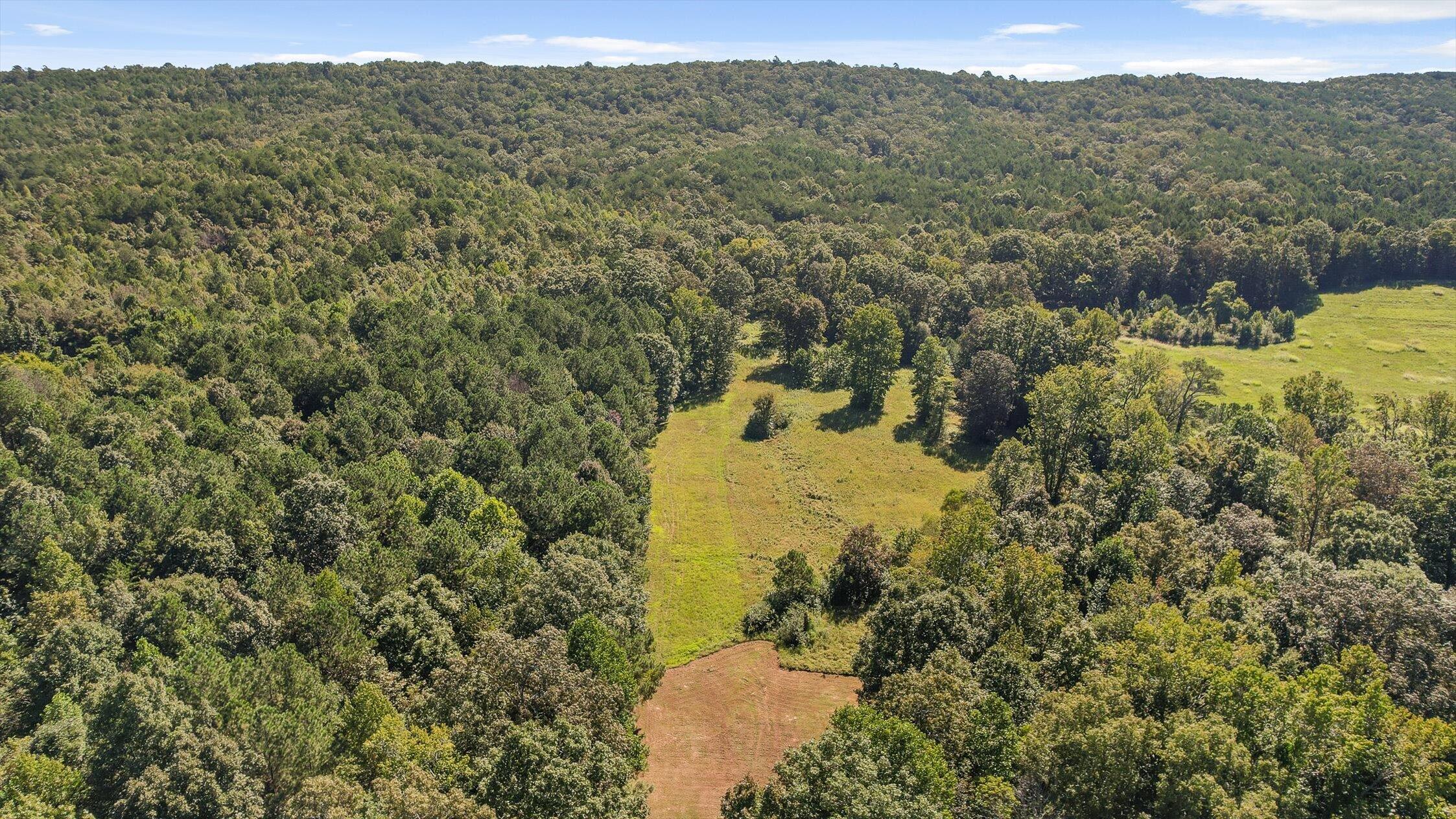 3303 Cantrell Road, LaFayette