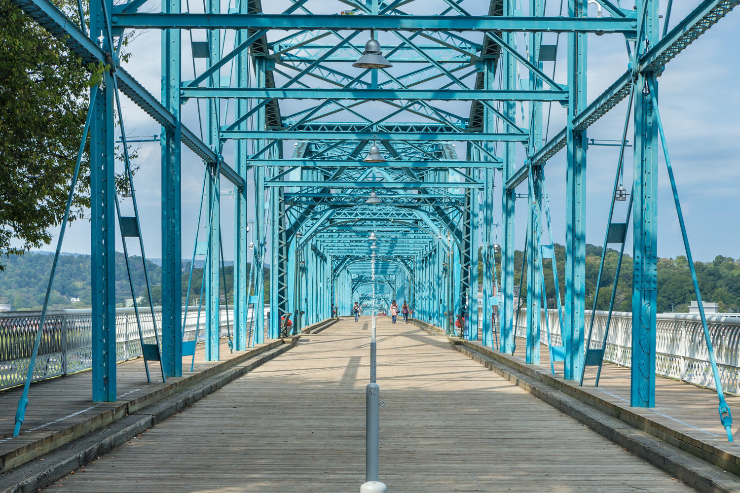 517 Hill Pointe Lane