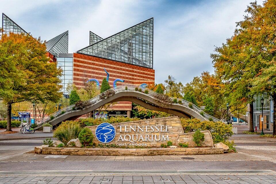 191 Chestnut Street, 501