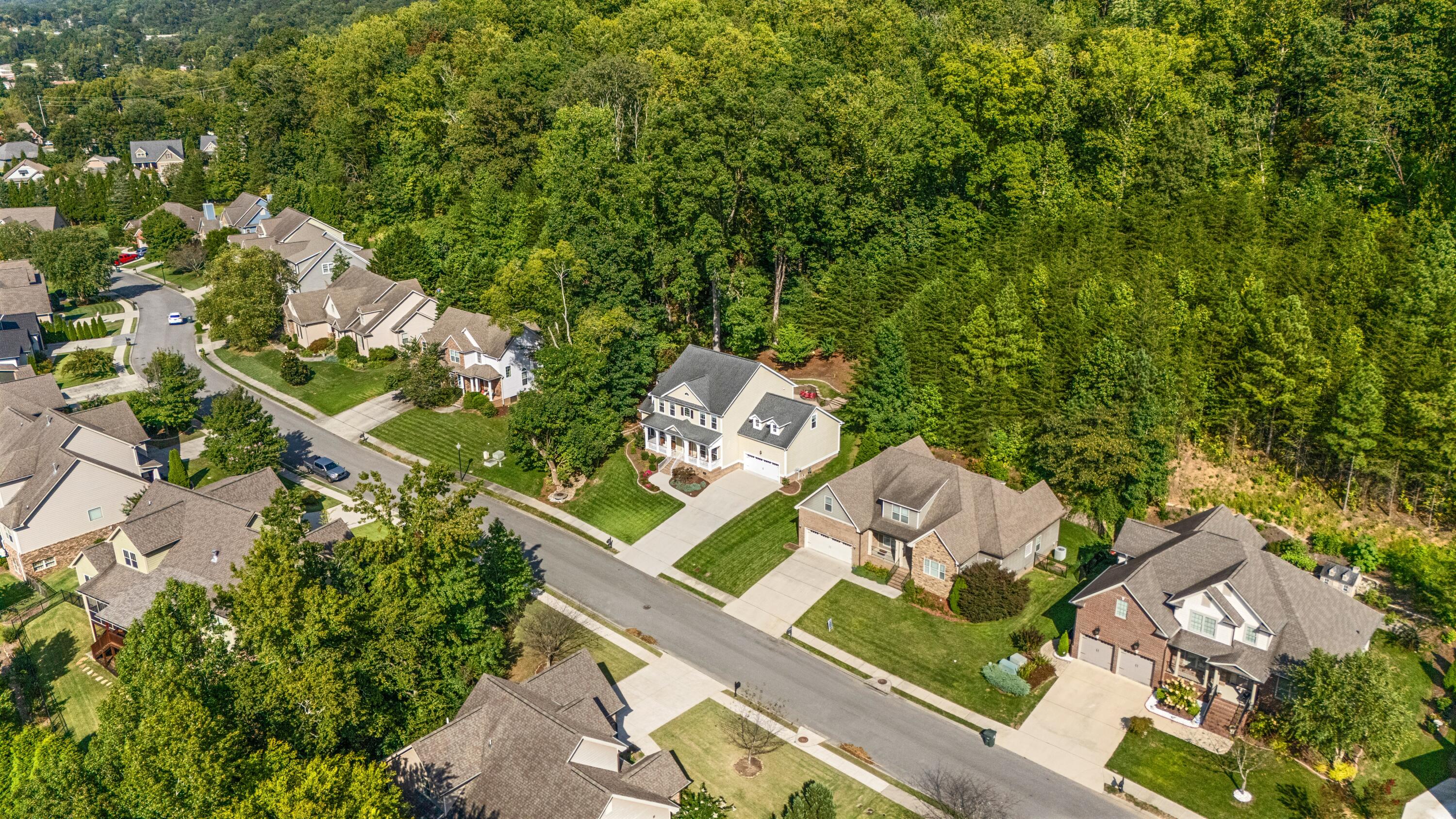 744 Shearer Cove Road