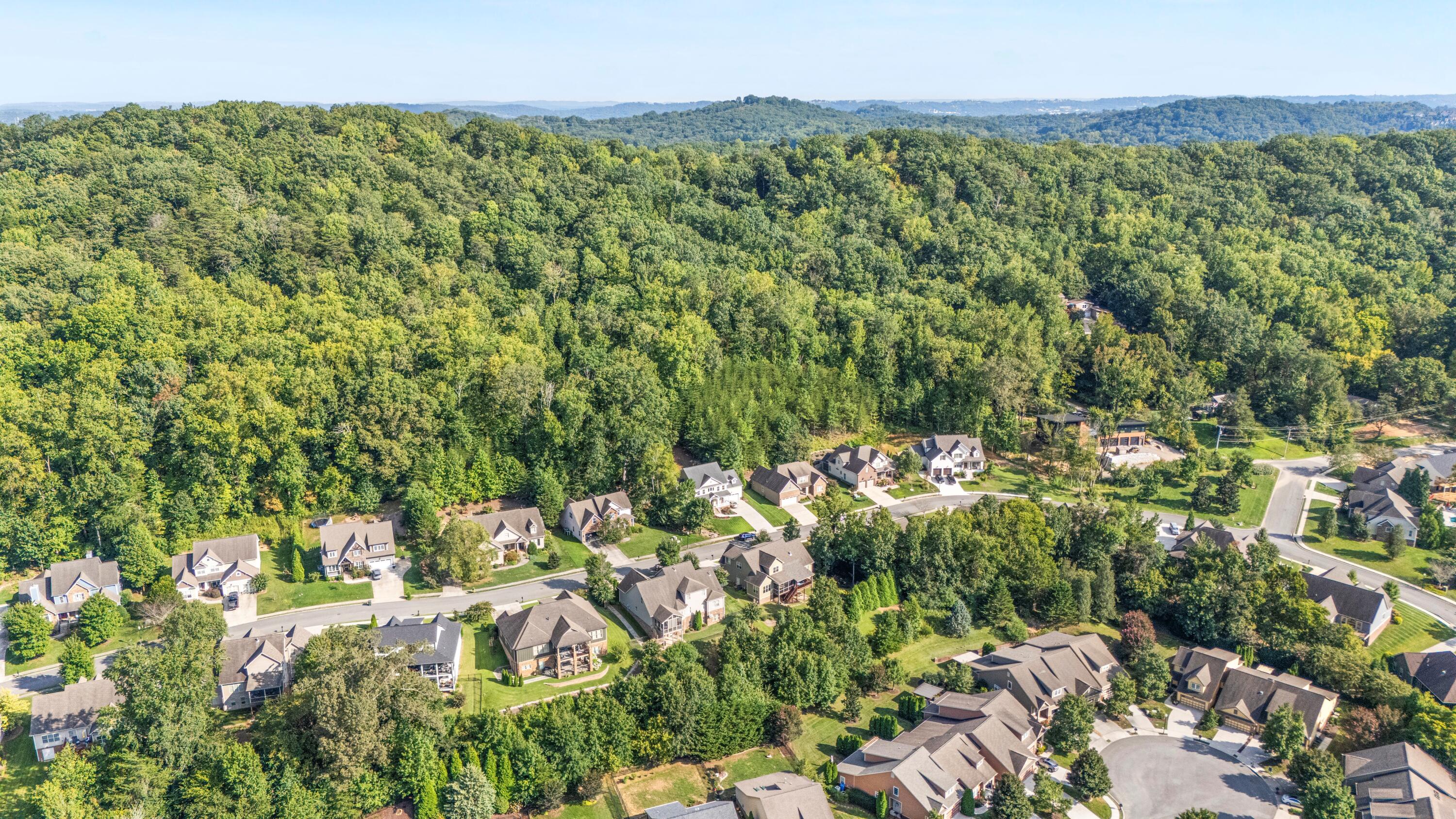 744 Shearer Cove Road