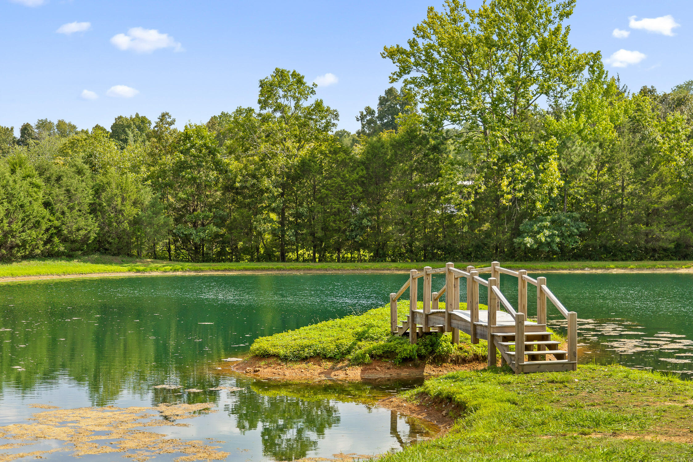 0 Cloudland Trace, 42