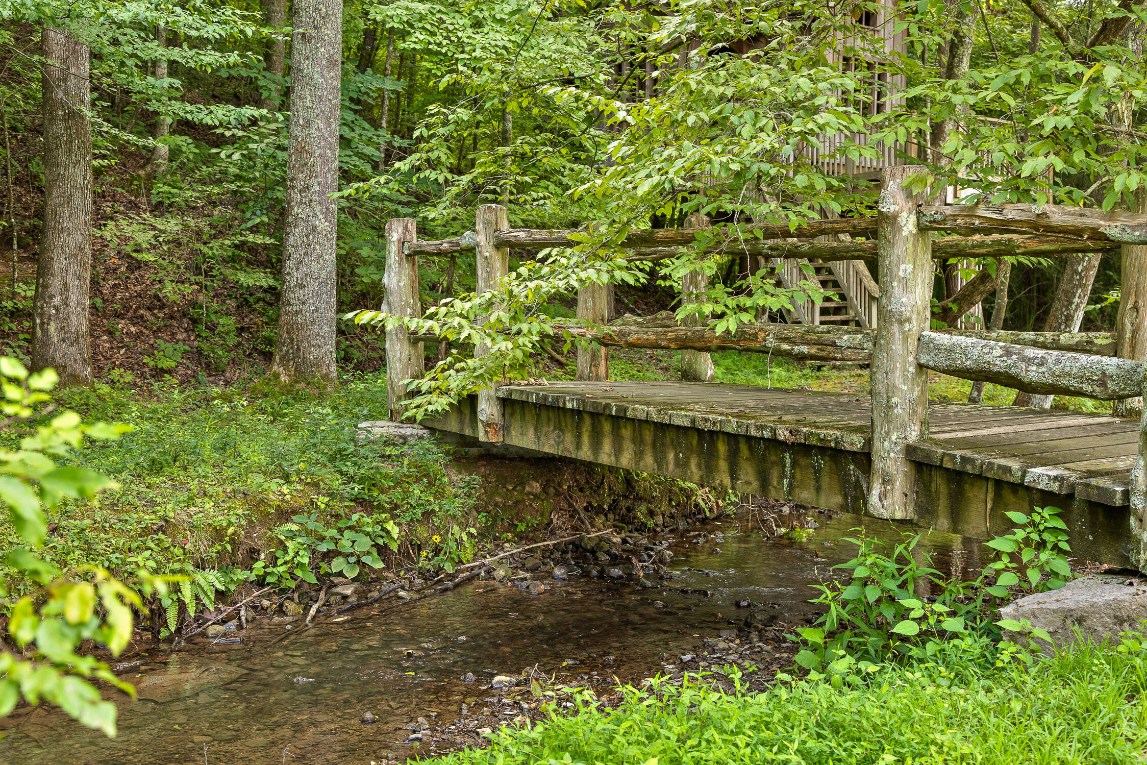 0 Cloudland Trace, 42