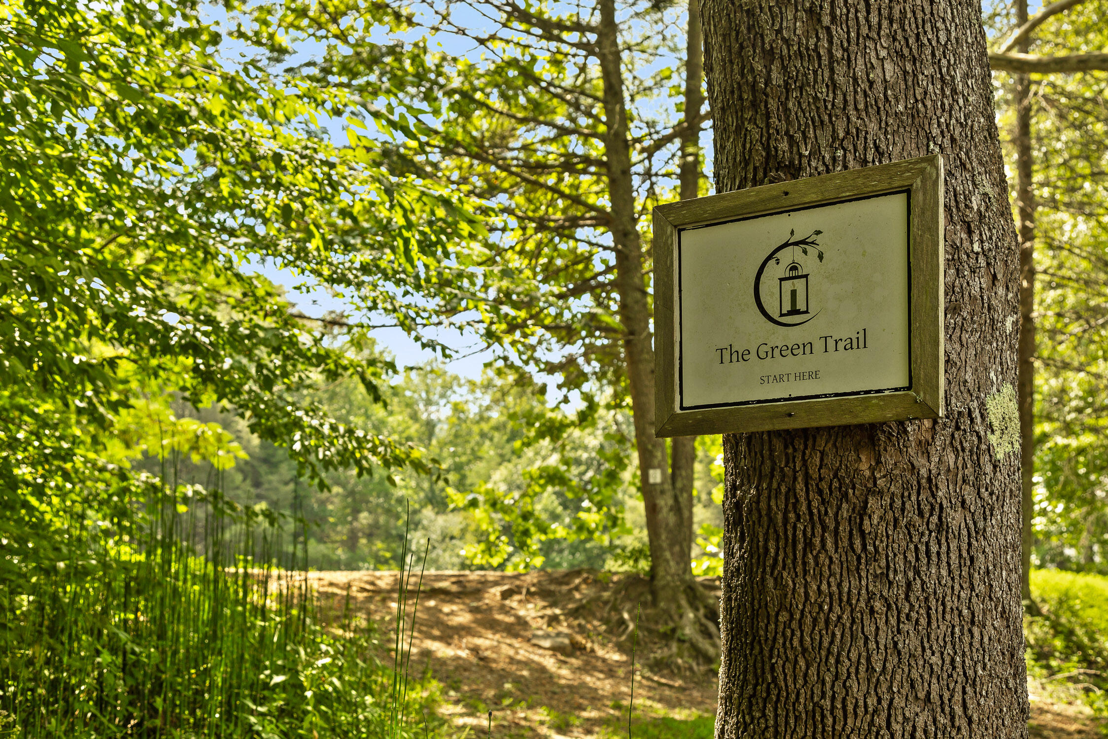 0 Cloudland Trace, 42