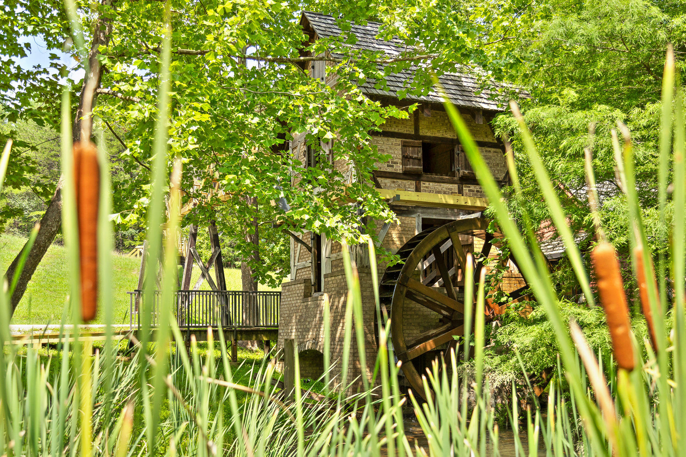 0 Cloudland Trace, 42