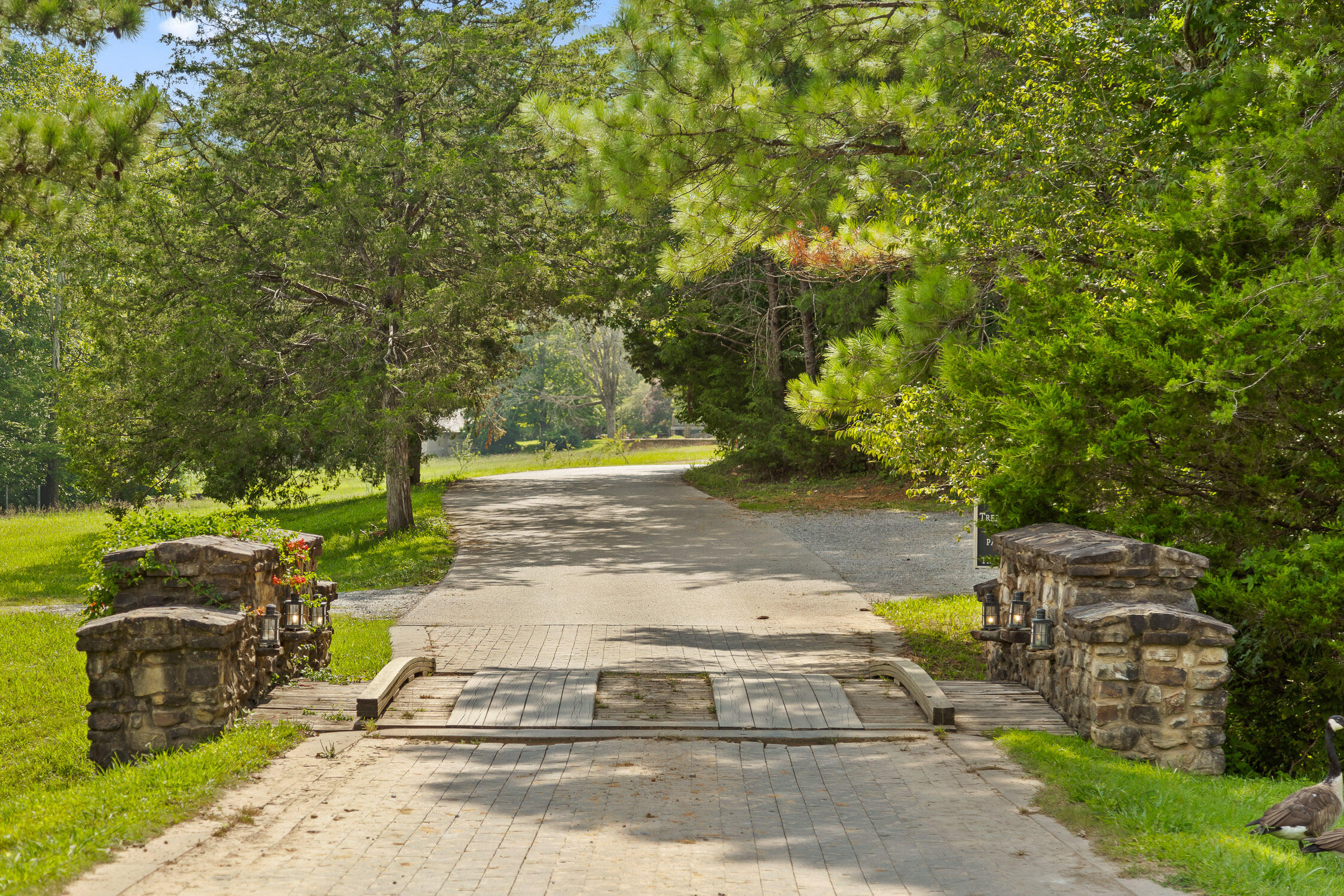 0 Cloudland Trace, 42