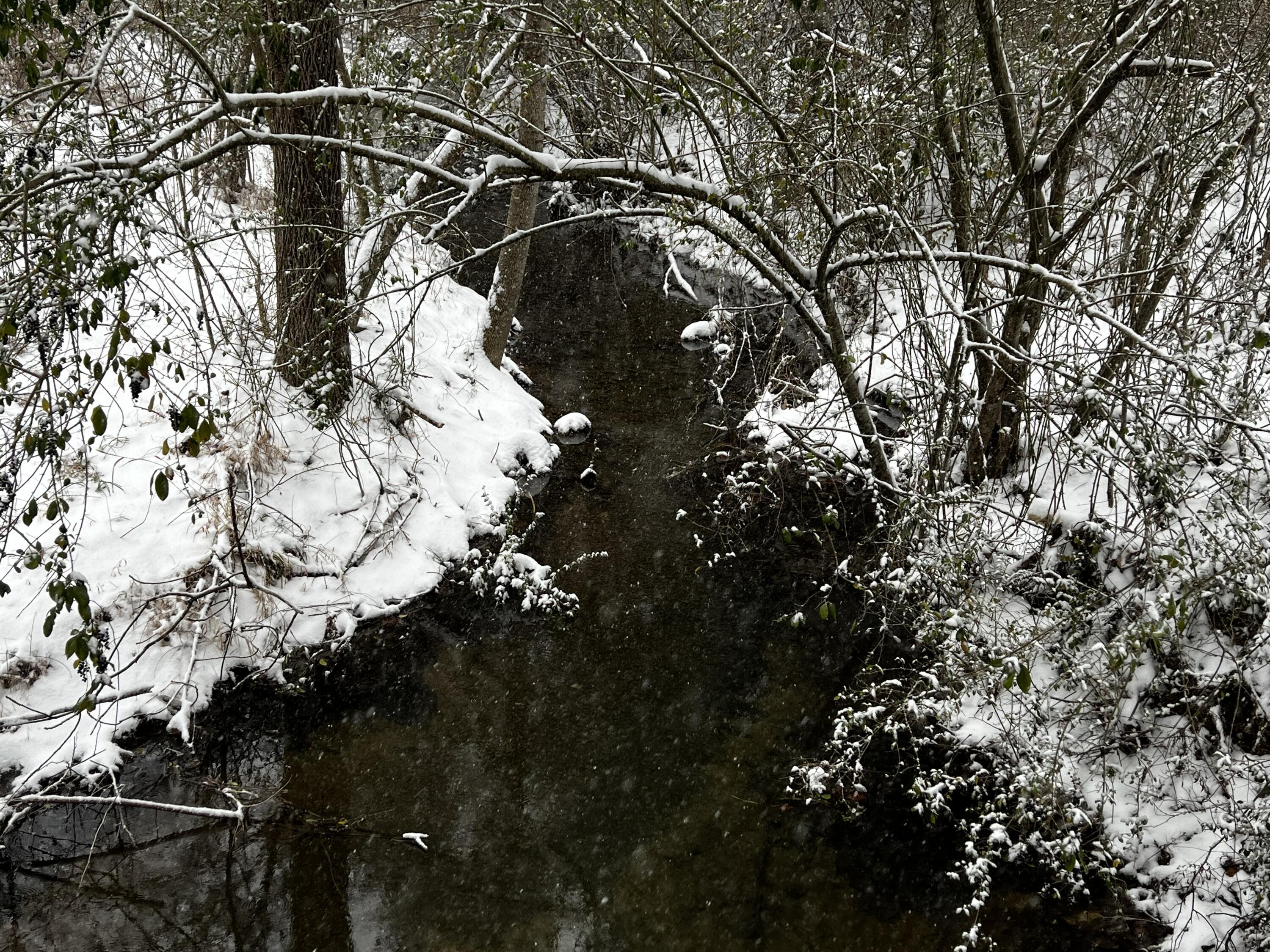 3291 Stepping Rock Drive