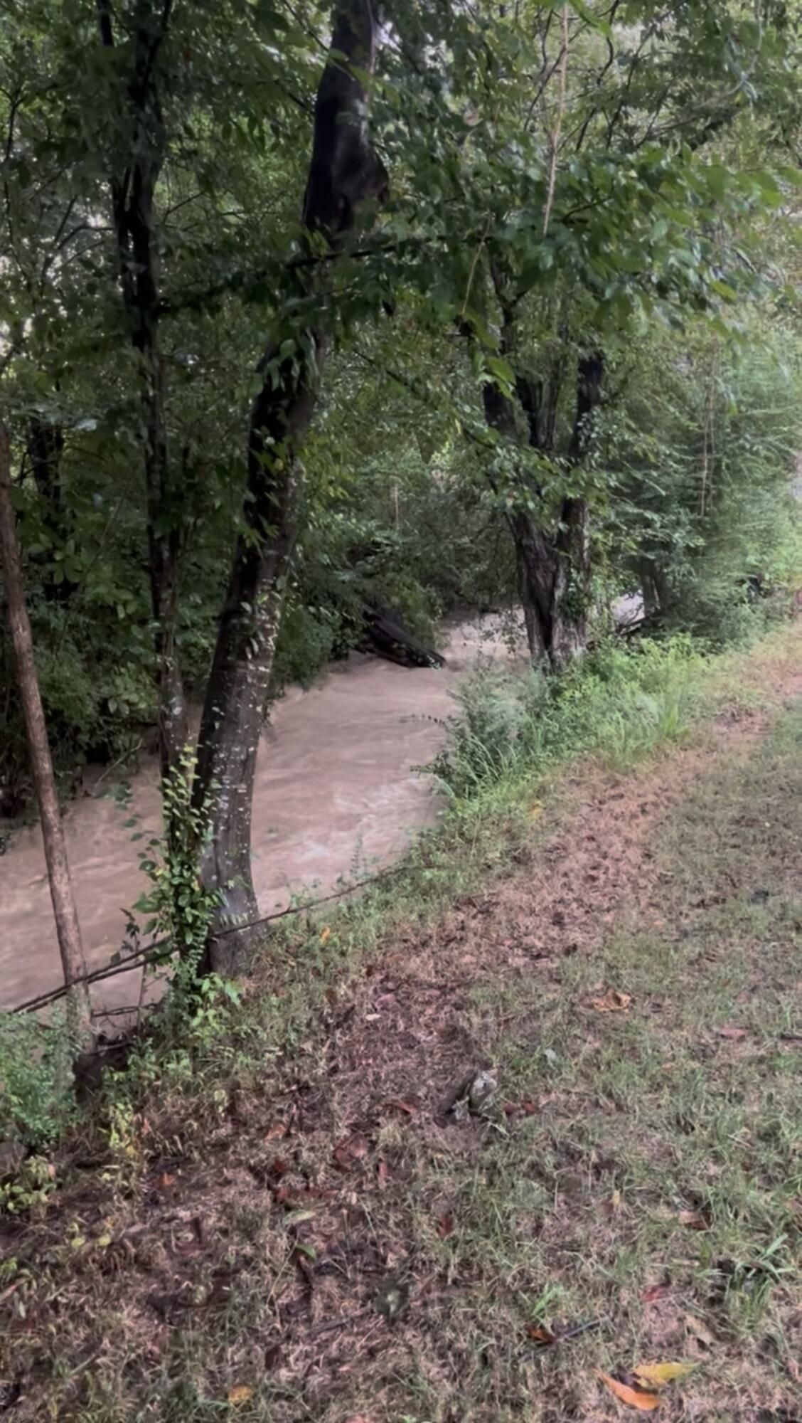 3291 Stepping Rock Drive