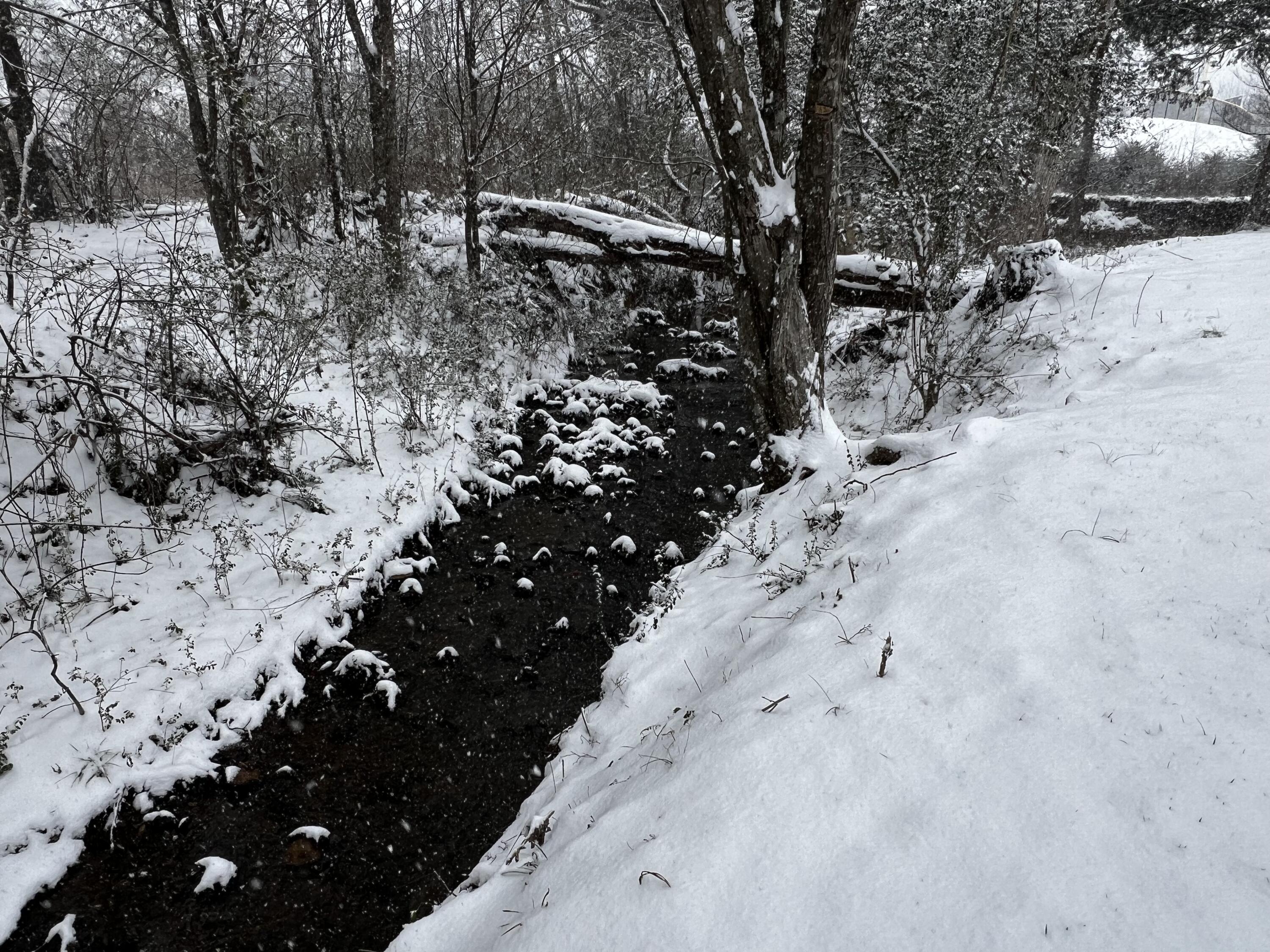 3291 Stepping Rock Drive